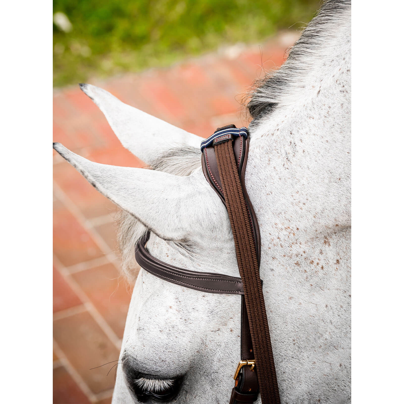 Trense Micklem 2 Multi Bridle Micklemtrense