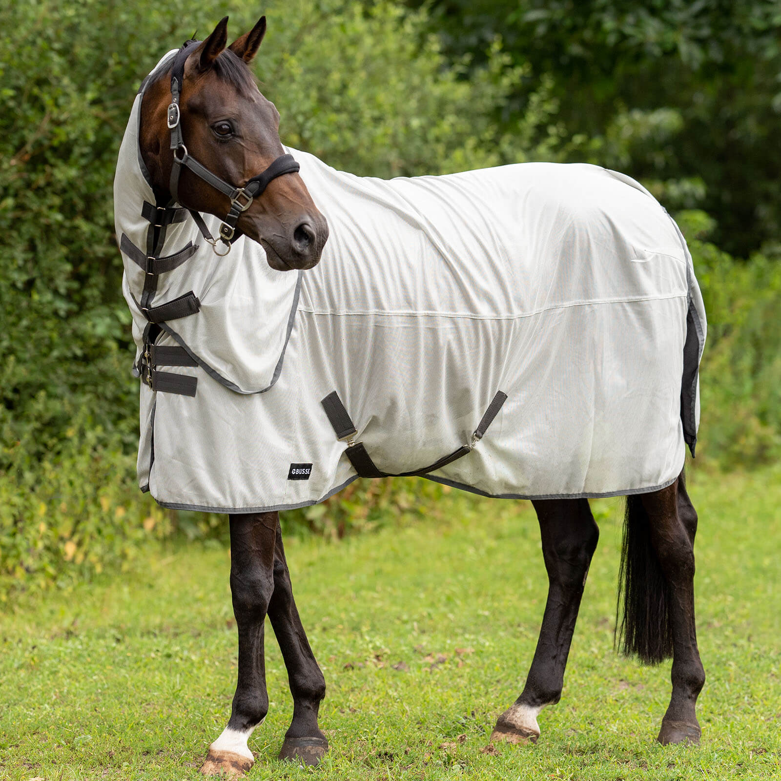 Paddock-Fliegendecke Sunshine II