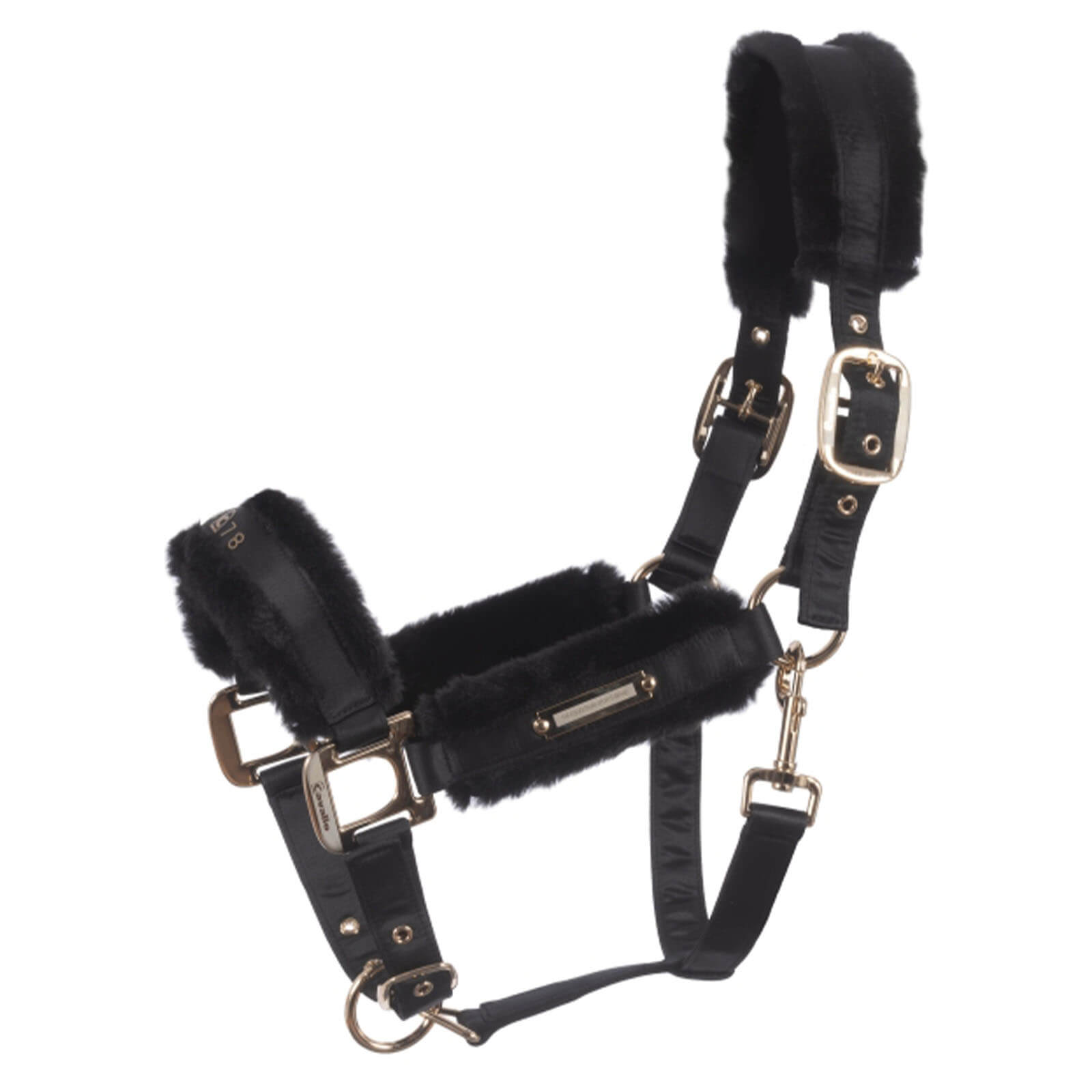 Halfter CAVALLUCILE Capsule HW 2023 Fellhalfter