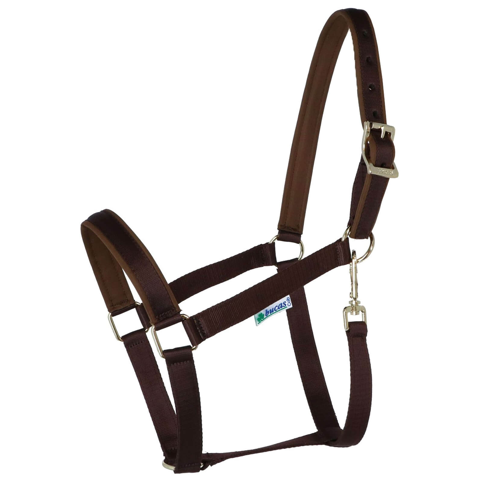 Fohlenhalfter Foal Halter Dublin