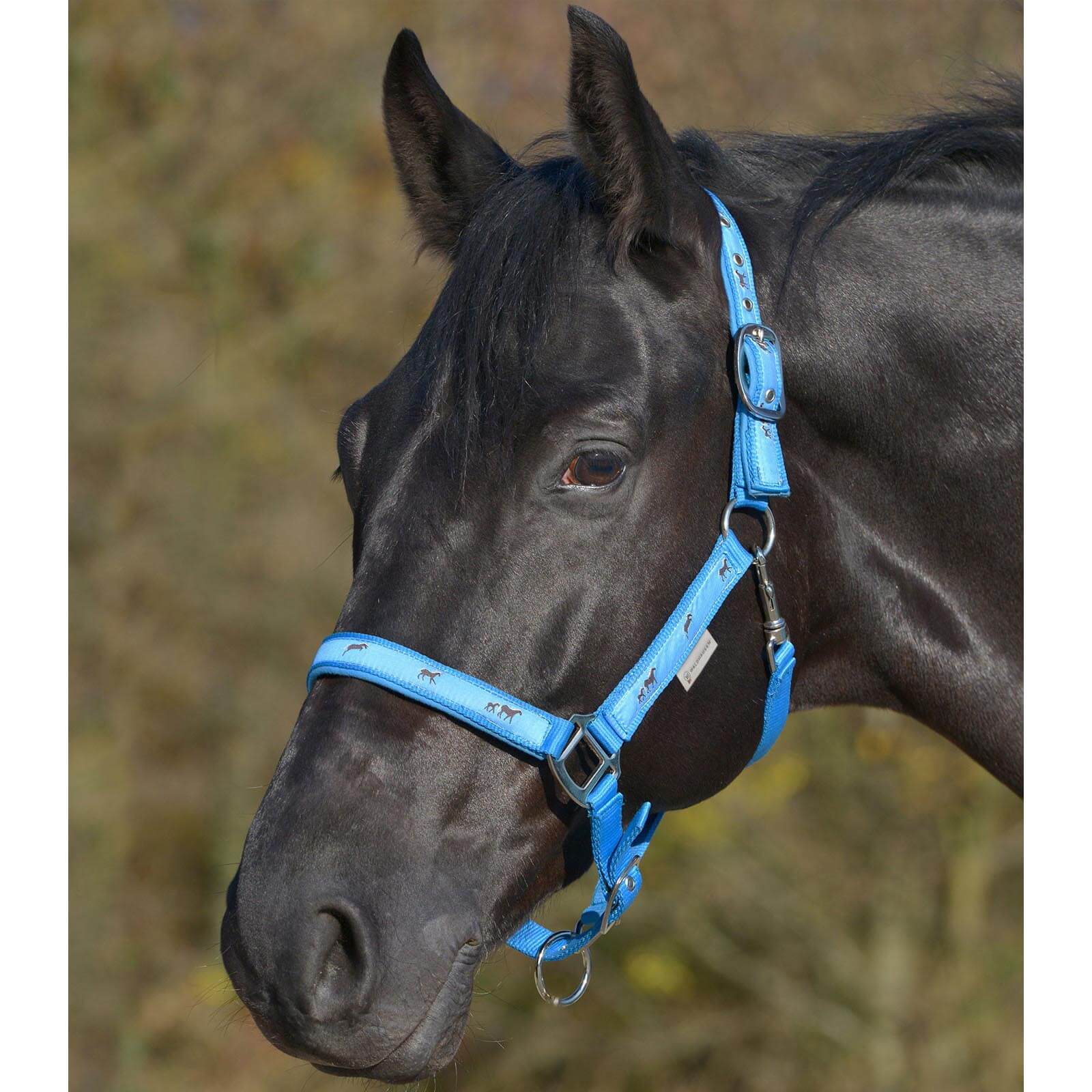 Halfter Pferdchen Stallhalfter