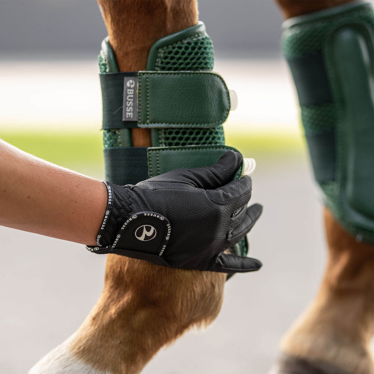 Busse Reithandschuhe Unisex Casual GP Ganzjahreshandschuh, Schwarz, Detailaufnahme an Pferd und Reiterhand.