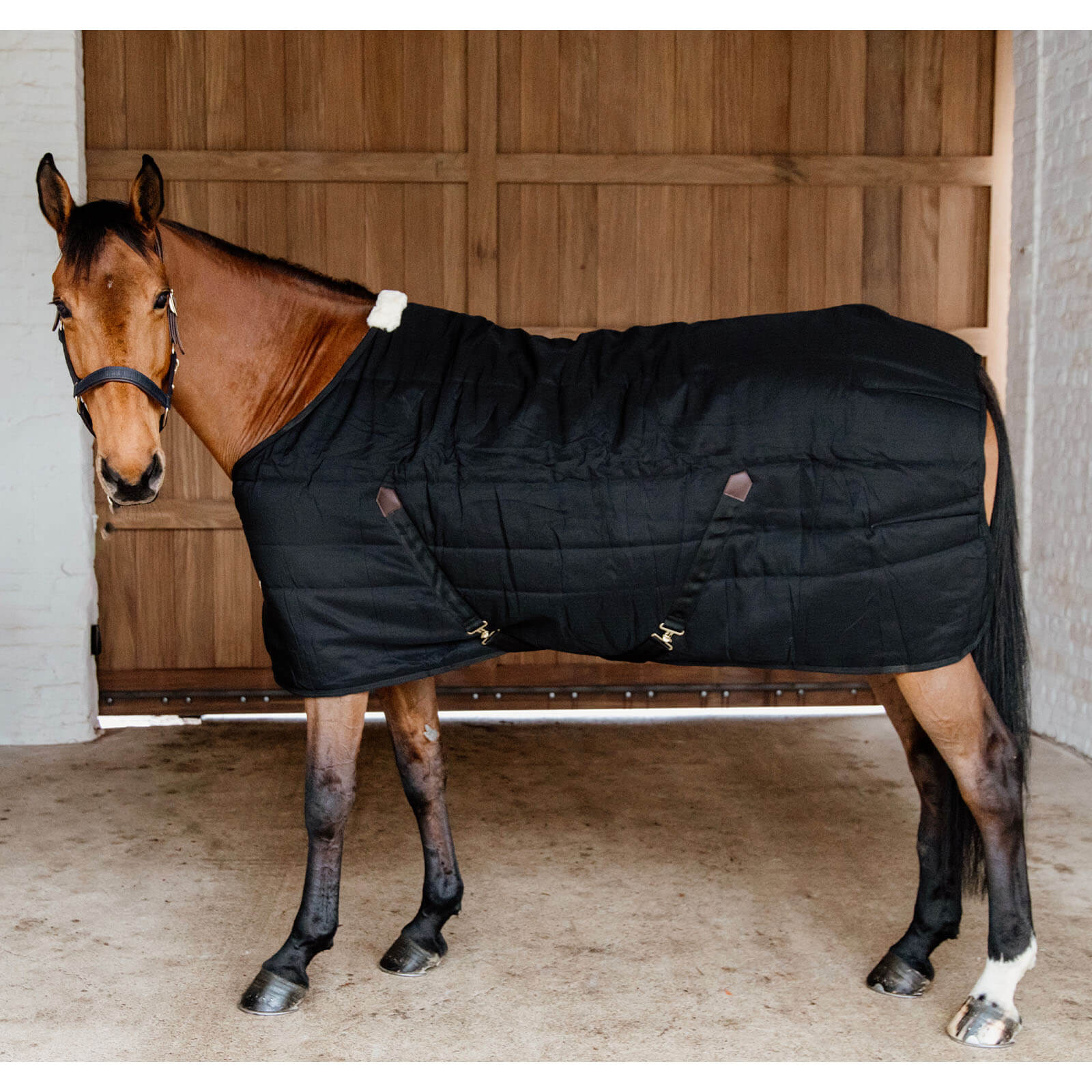 Stalldecke 200g Classic Übergangsdecke
