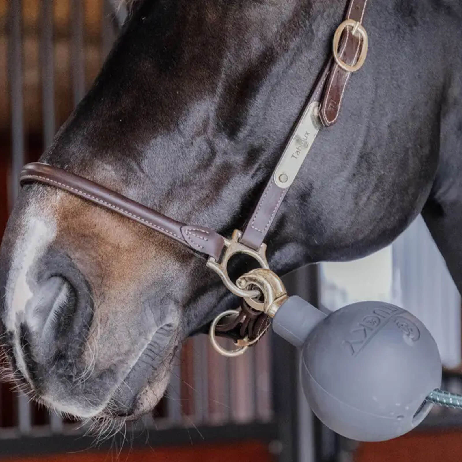 Anbindeschutz Leine & Wandschutz Gummiball Lead & Wall Protection