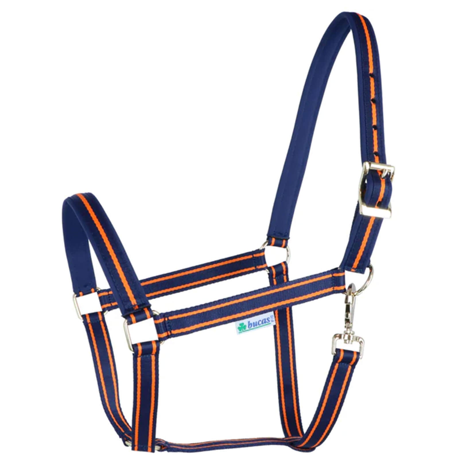 Fohlenhalfter Foal Halter Dublin