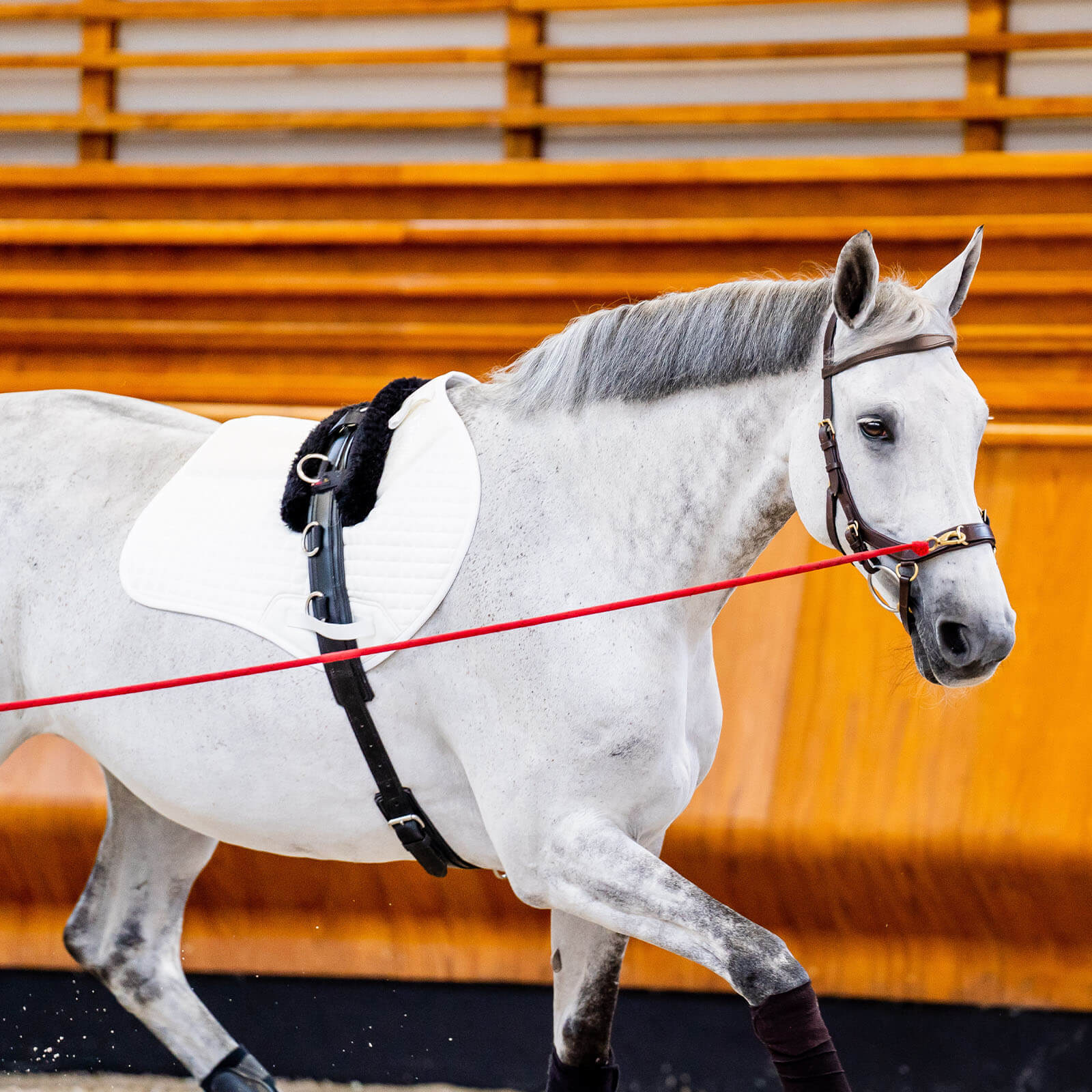 Trense Micklem 2 Multi Bridle Micklemtrense