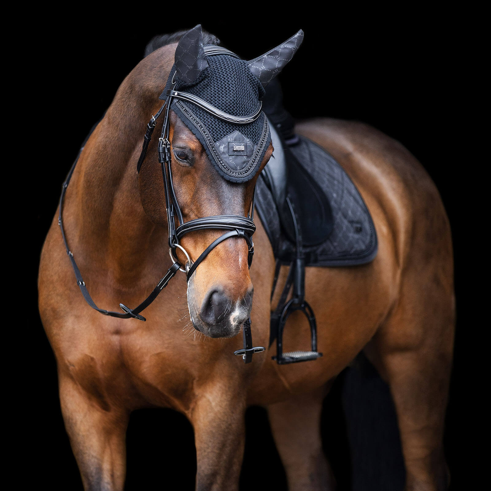 Schabracke HVPWelmoed Shine HW 2023 Dressurschabracke