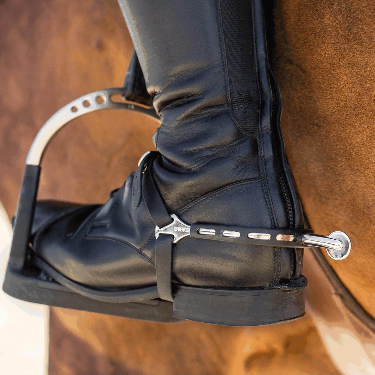Sprenger Sporen Ultra Fit Extra Grip 40 mm abgerundet mit großem Ballrad, Schwarz, Detailaufnahme am Reitstiefel am Pferd.