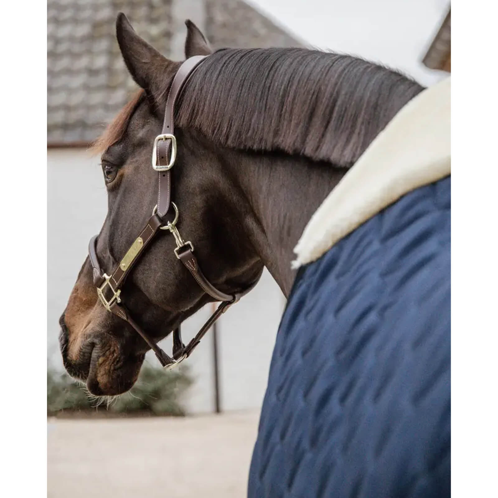 Stalldecke 200g Comfort Winterdecke