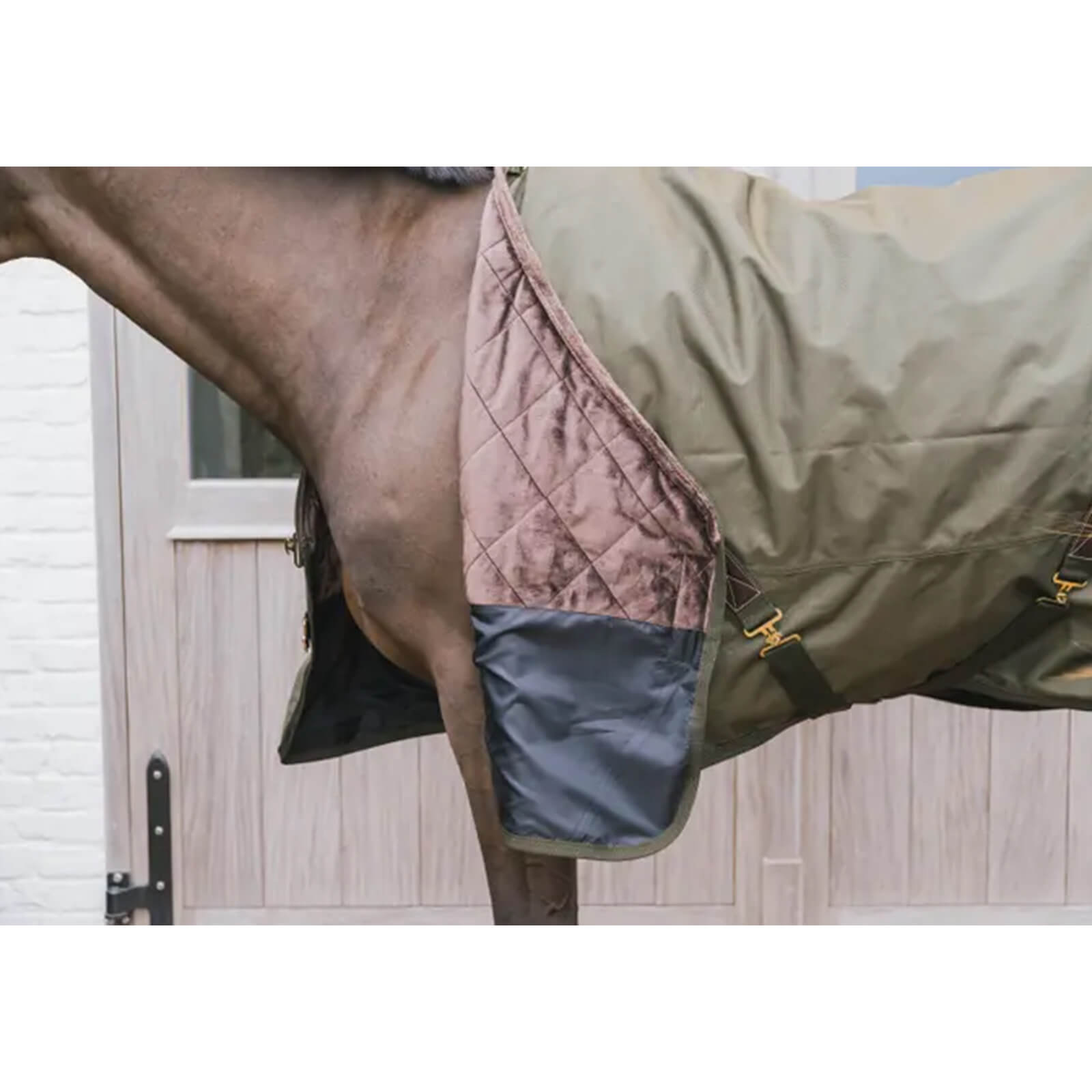 Outdoordecke 160g All Weather Waterproof Pro Weidedecke