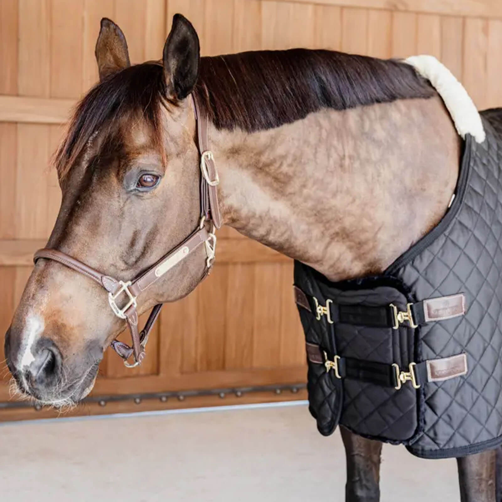 Brusterweiterung Steppung mit Fell Chest Expander