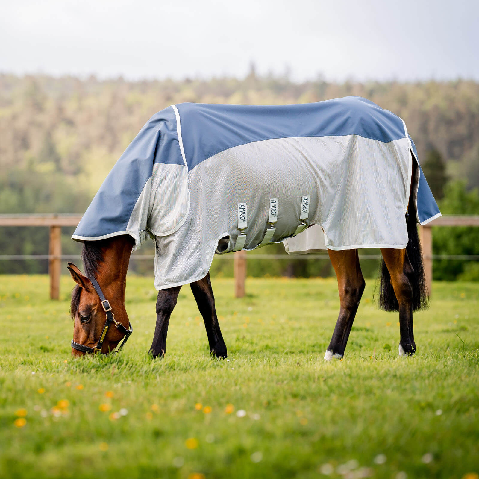 Fliegendecke mit Regenschutz Amigo AmECO Combi 3-in-1 Weidedecke