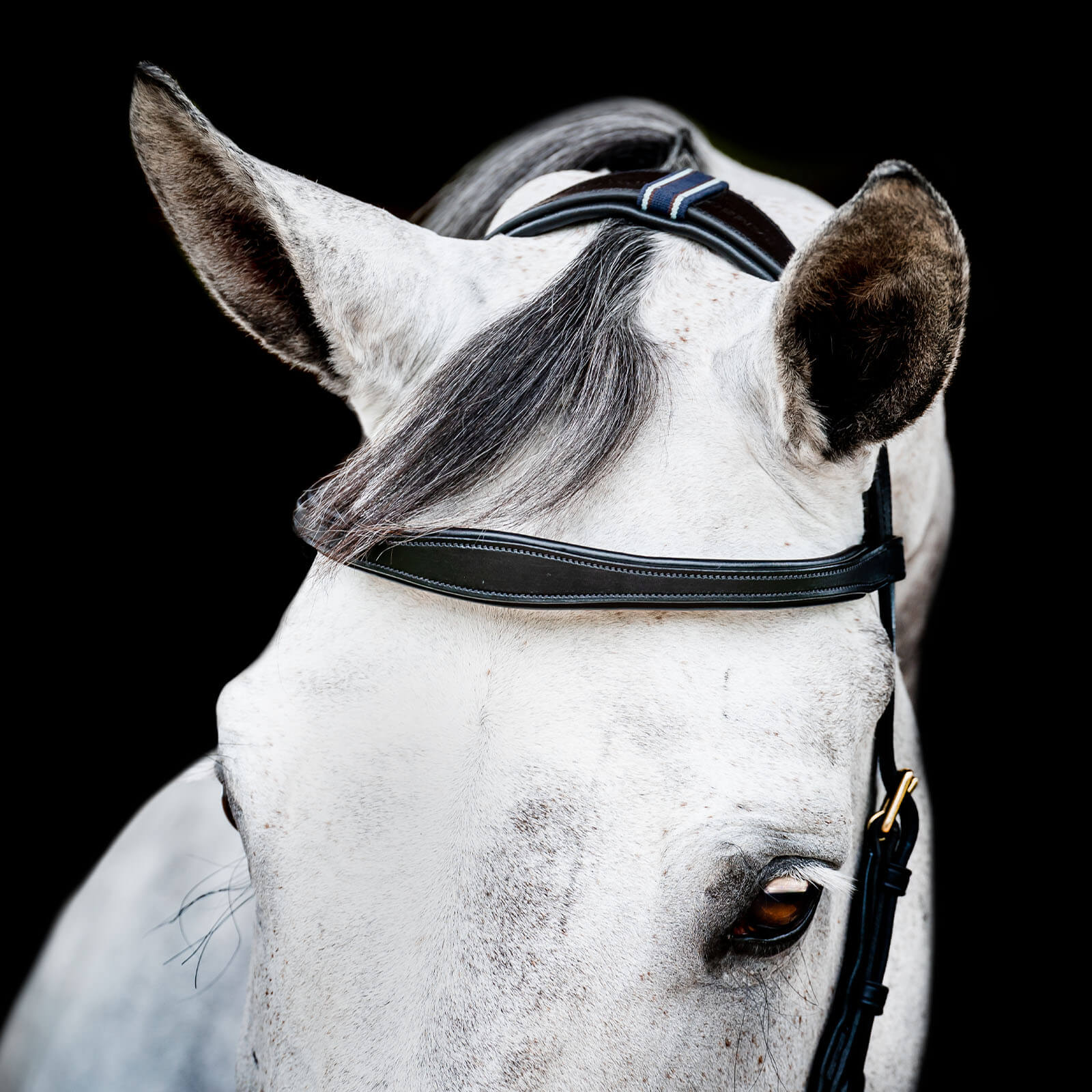 Trense Micklem 2 Multi Bridle Micklemtrense