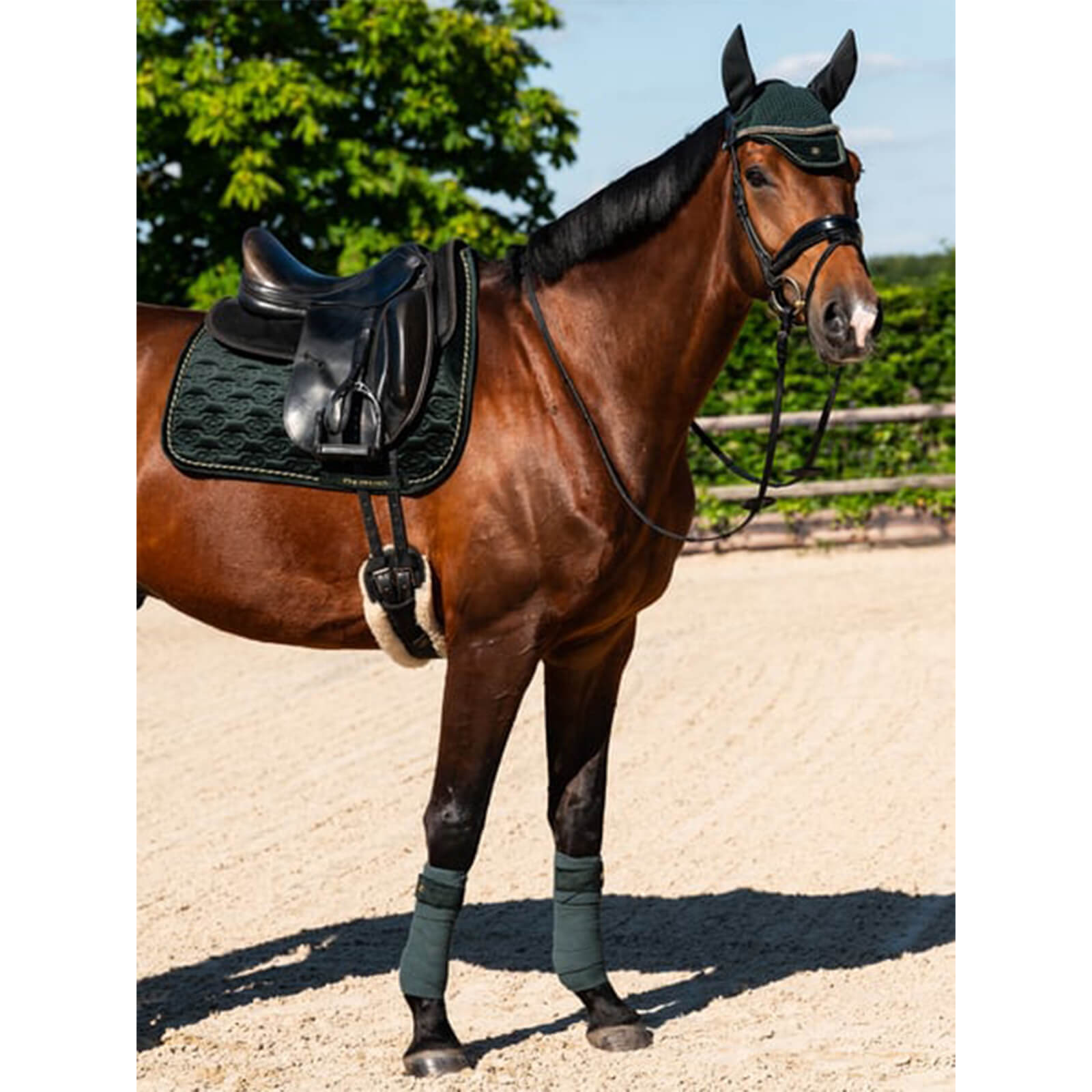 Bandagen Fleece Samt Monogram HW 2024