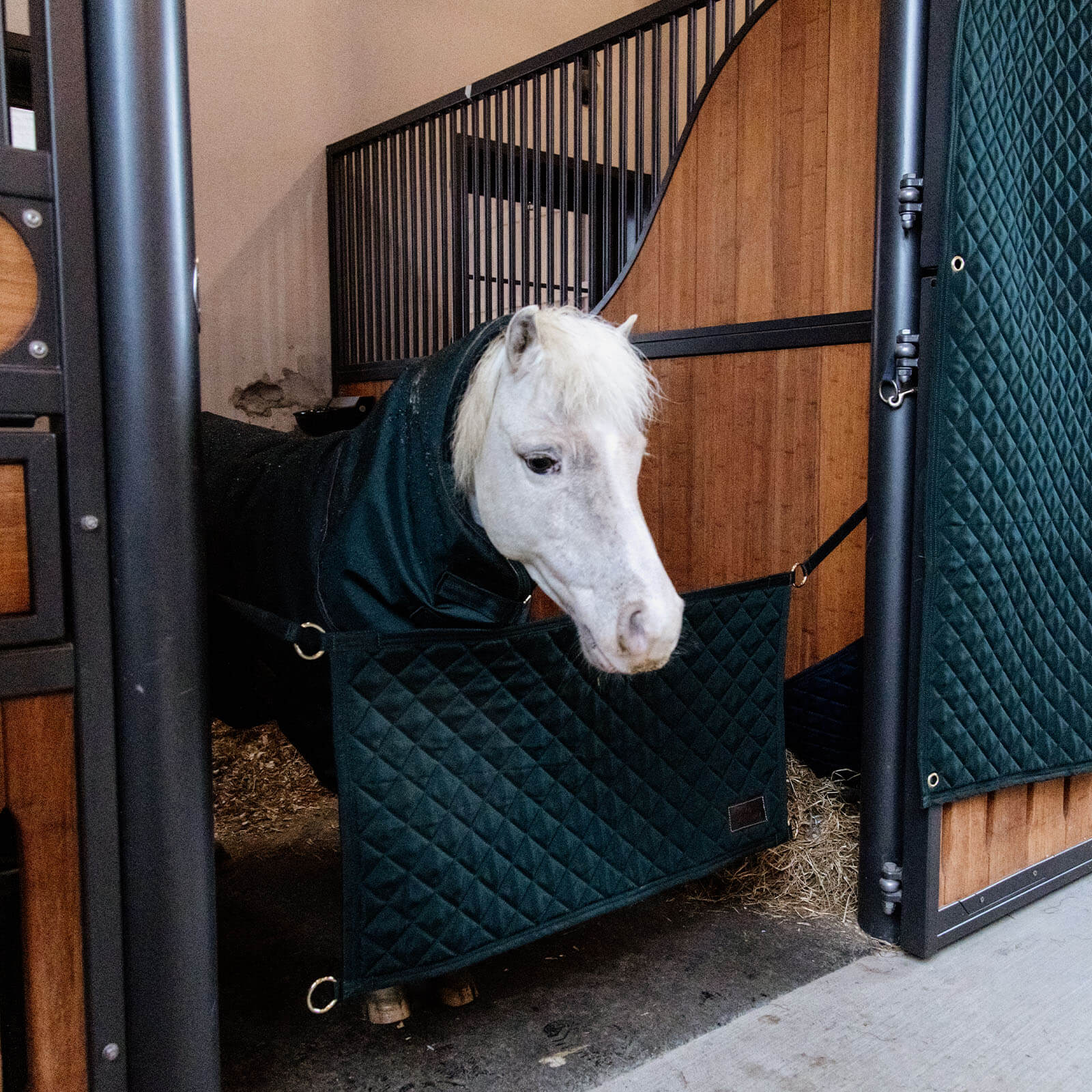 Boxentürvorhang Stable Guard