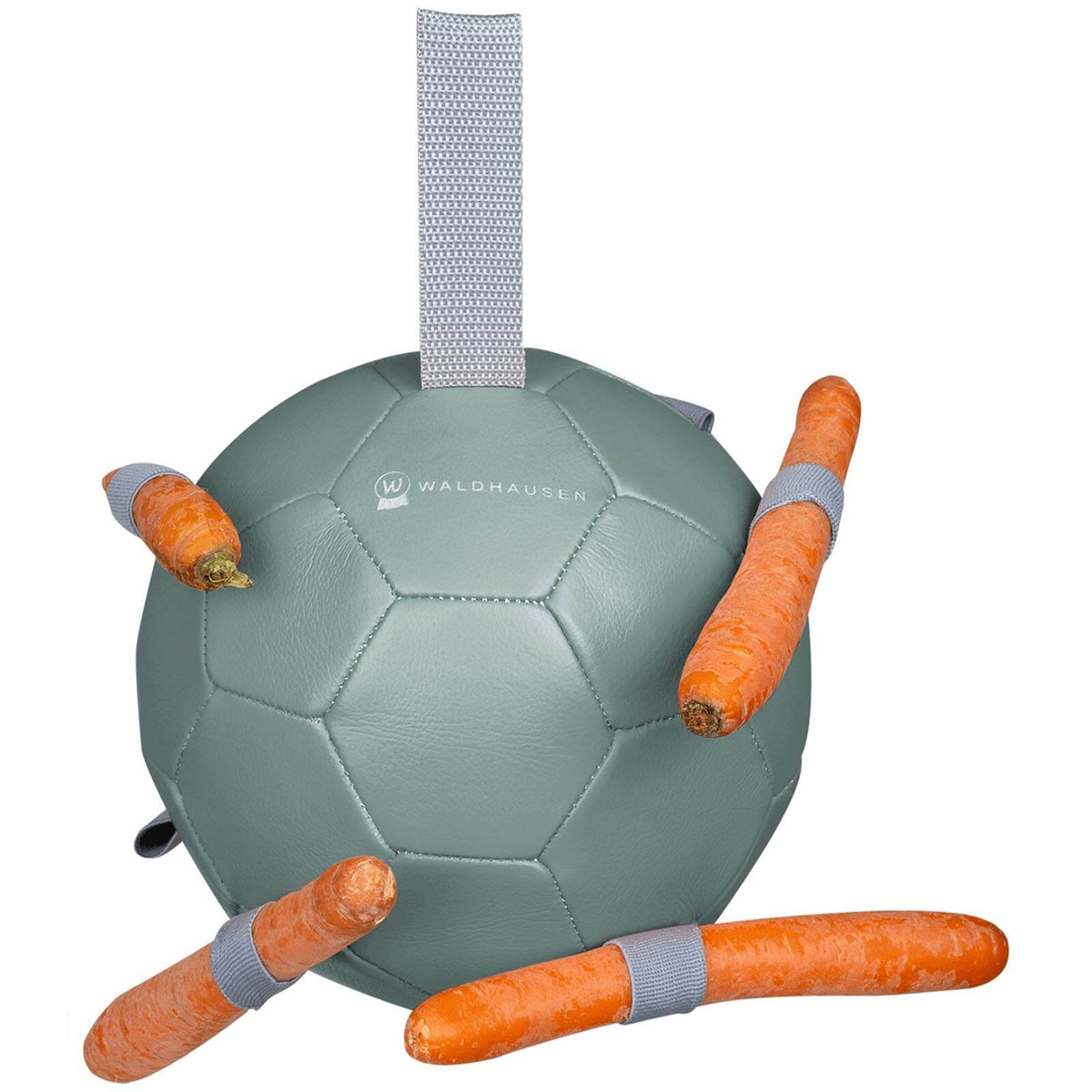 Mistel