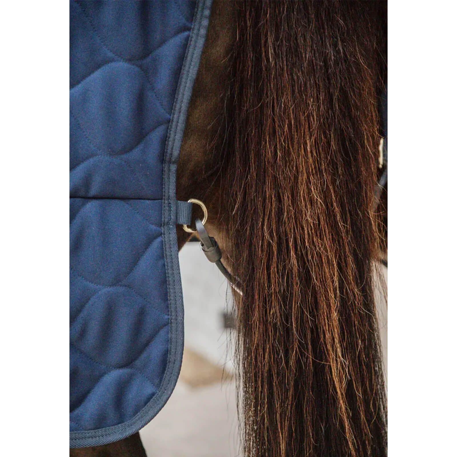 Stalldecke 300g Comfort Winterdecke
