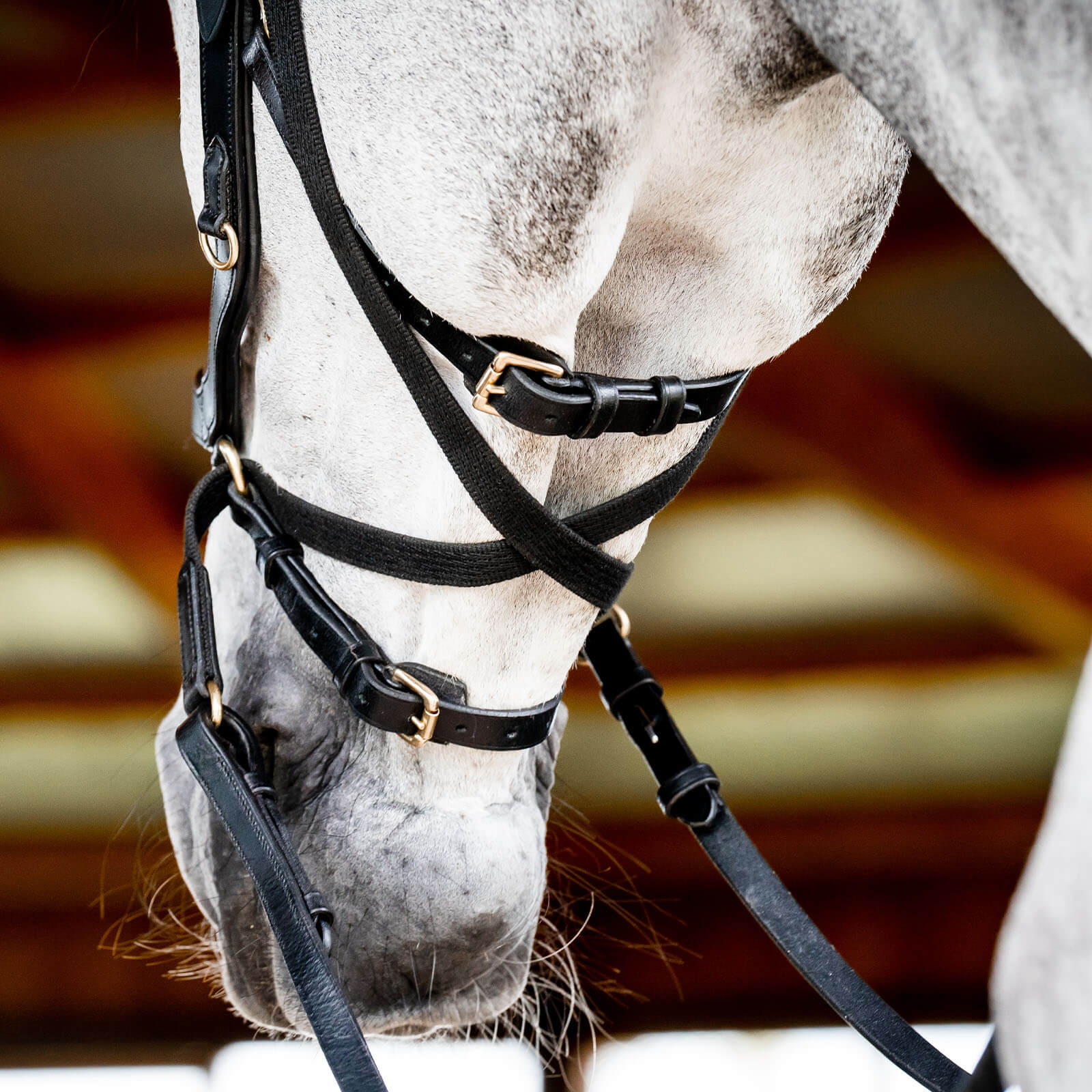 Trense Micklem 2 Multi Bridle Micklemtrense