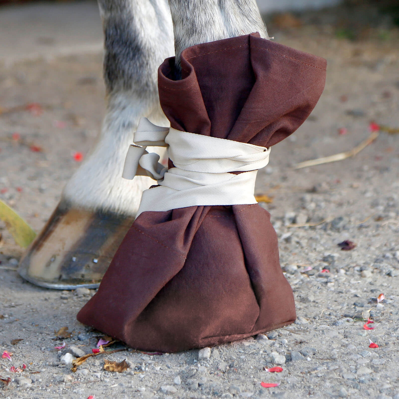 Hufschuh Behandlungsschuh für Hufe