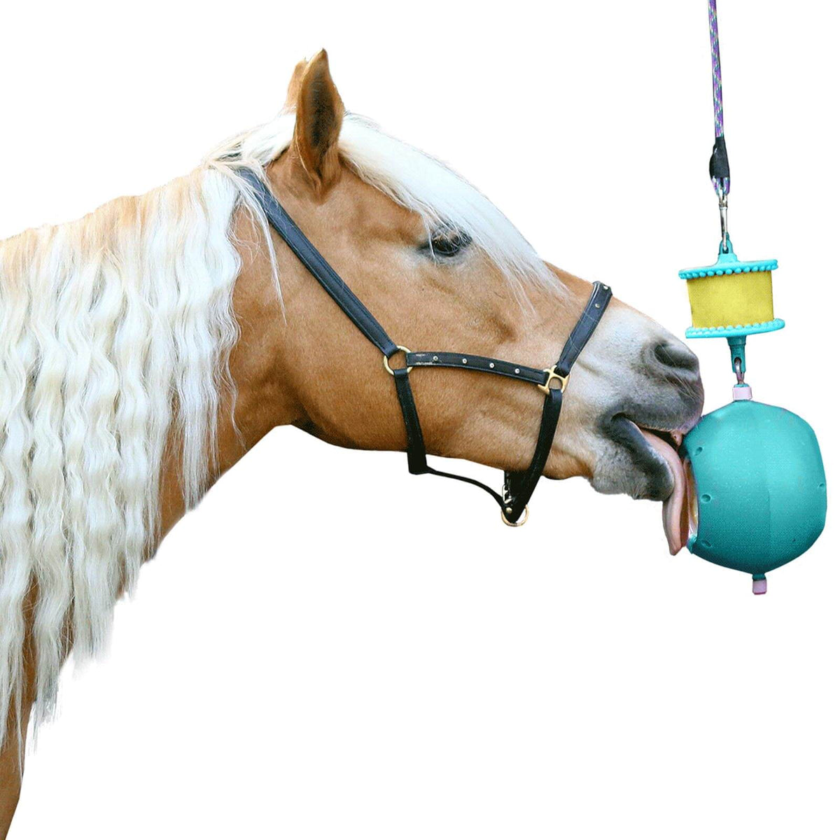 Pferdespielzeug Likit Boredom Breaker