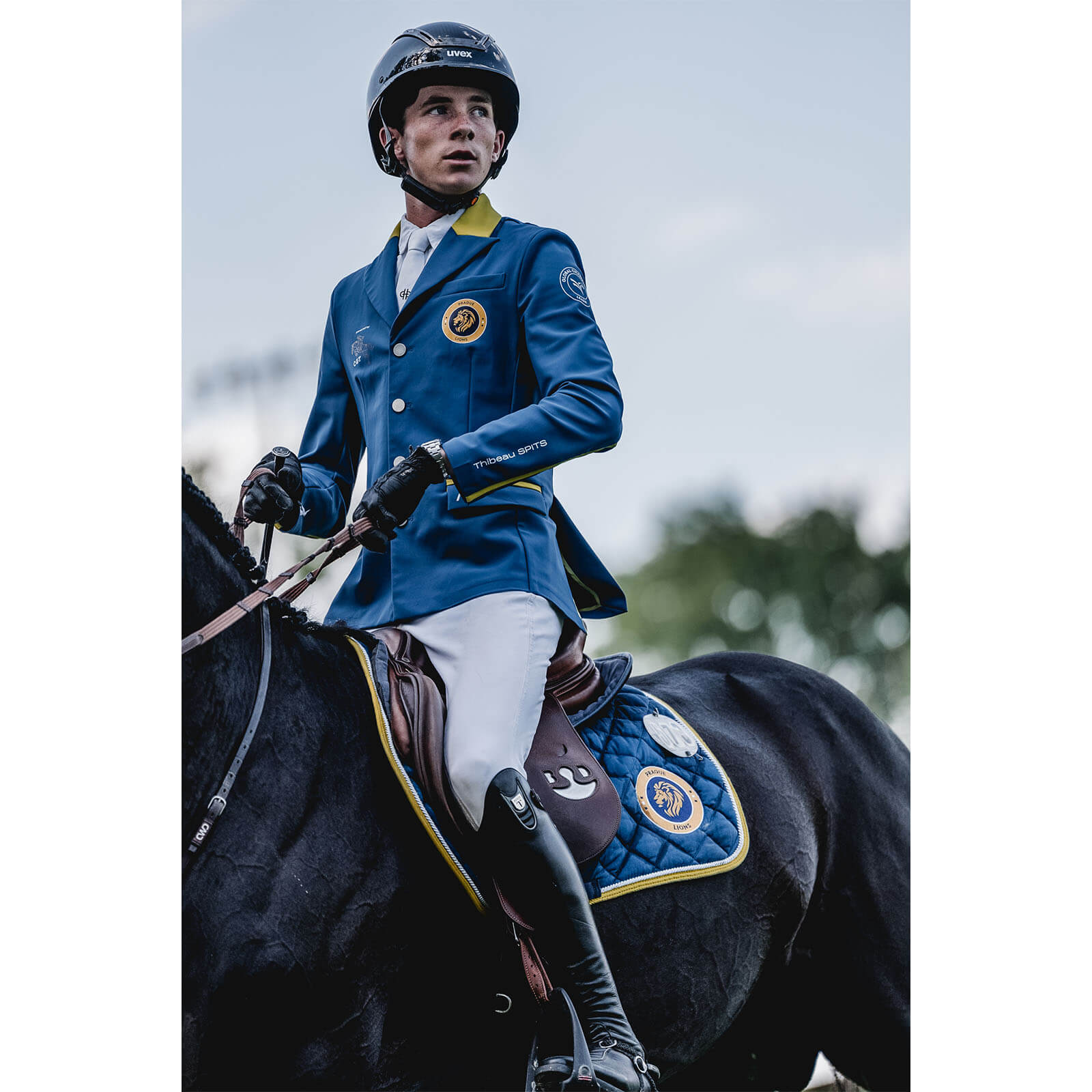 Reithelm Exxeed Shiny Chrome Helm