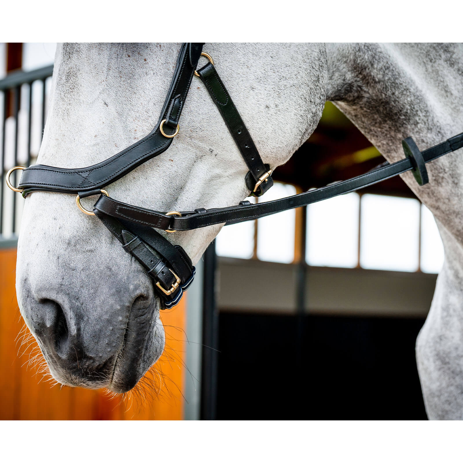Trense Micklem 2 Multi Bridle Micklemtrense