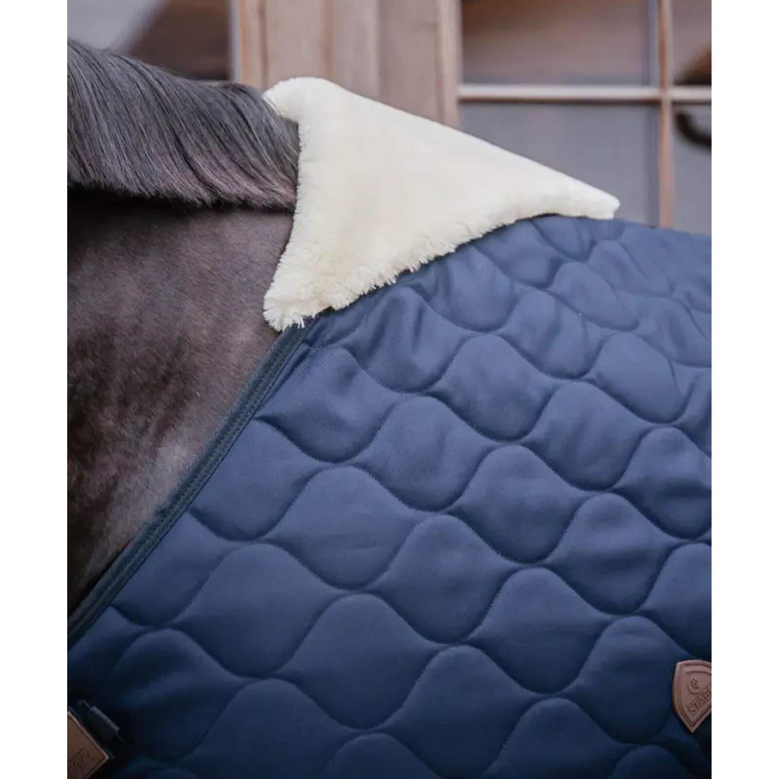 Stalldecke 200g Comfort Winterdecke