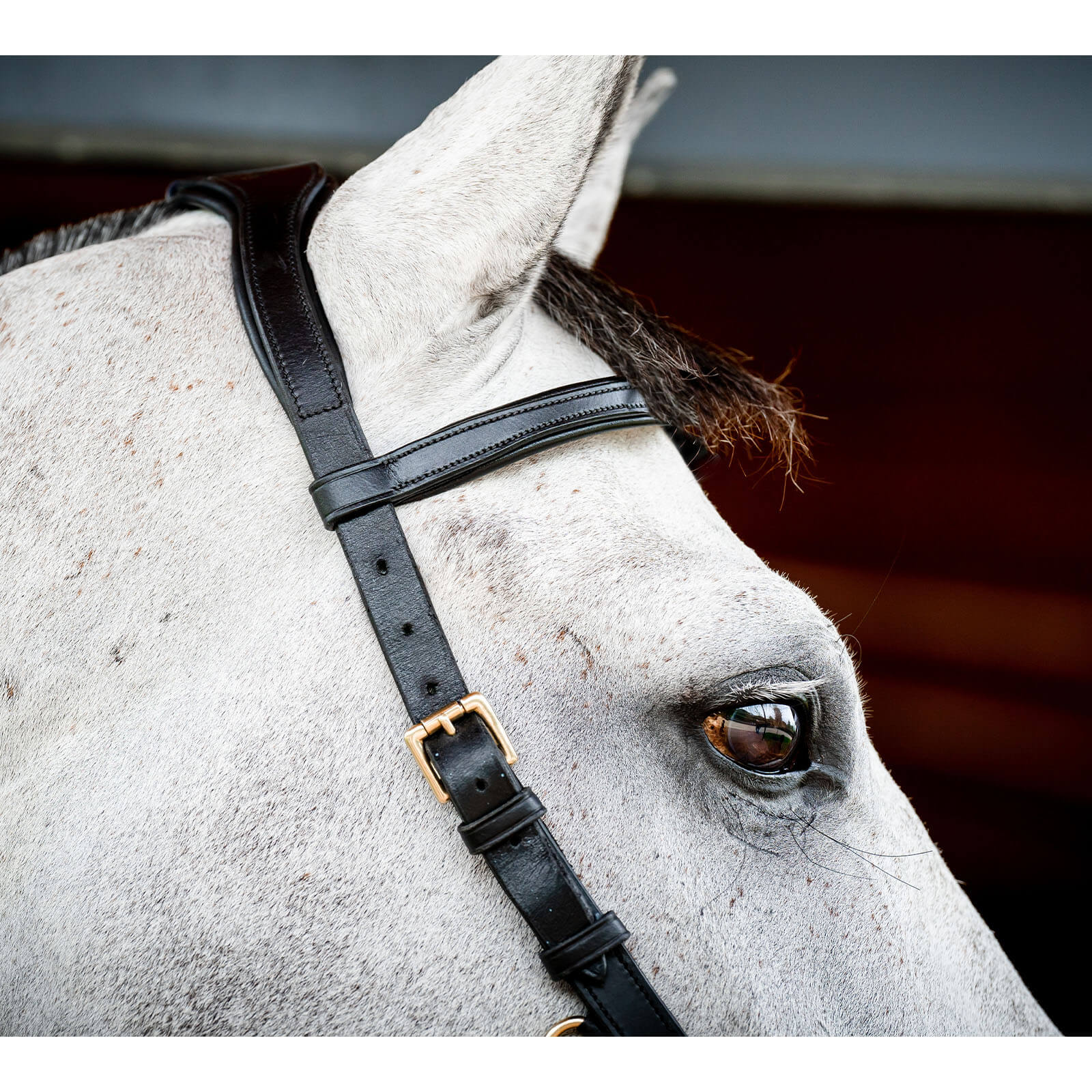 Trense Micklem 2 Multi Bridle Micklemtrense