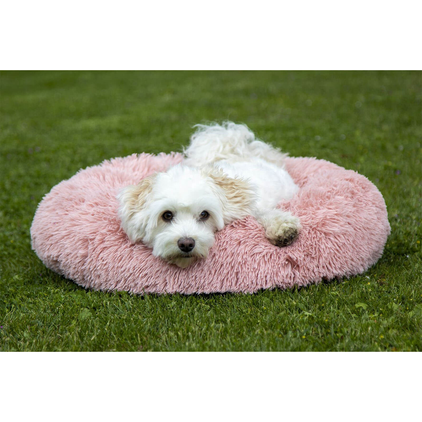 Hundebett Fluffy Hundekissen