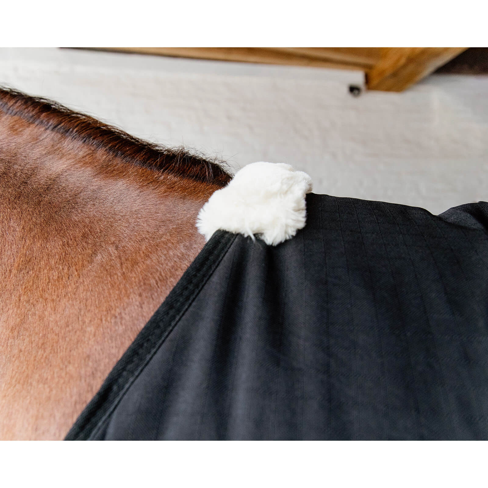 Stalldecke 200g Classic Übergangsdecke