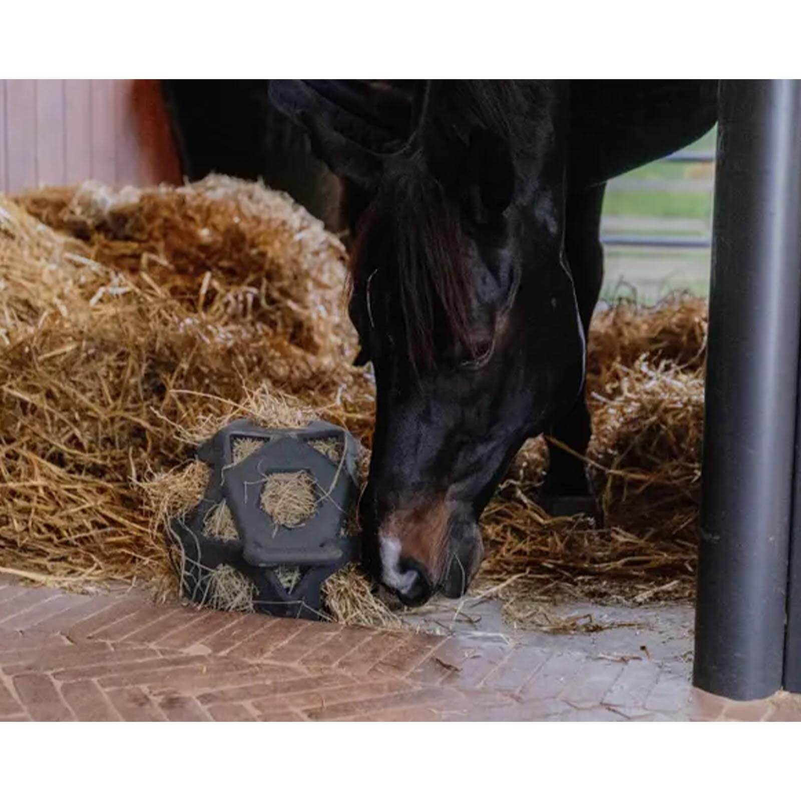 Futterball Spielzeug Relax Horse Spielball & Heuball