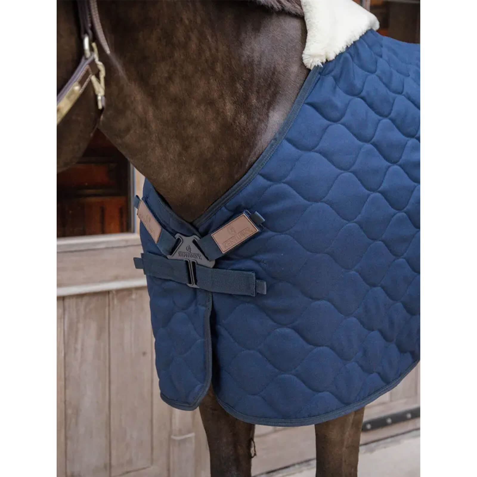 Stalldecke 100g Comfort Winterdecke