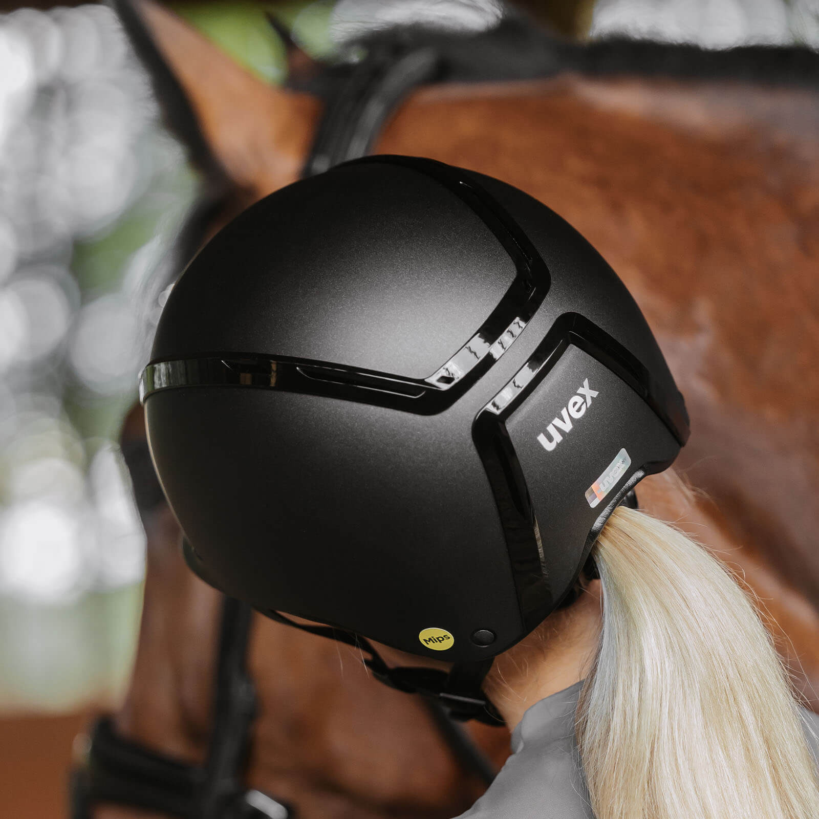UVEX Reithelm Exxeed Mips Helm - stylisch & sicher