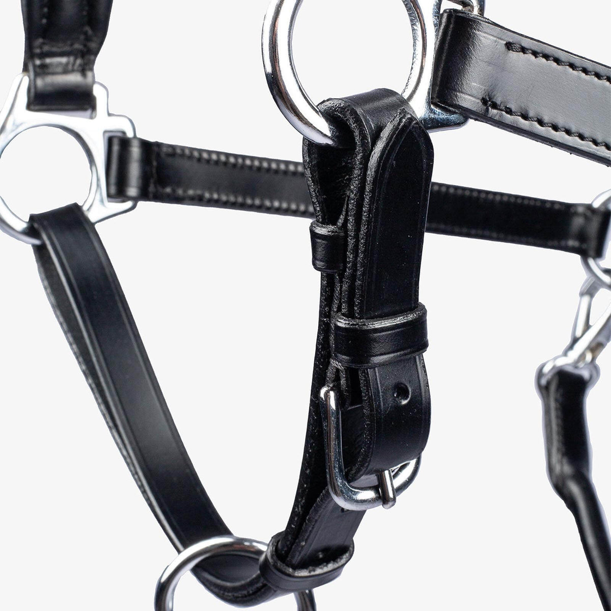 PS of Sweden Halfter Leather Lederhalfter, Schwarz, Detailaufnahme des Halfters.