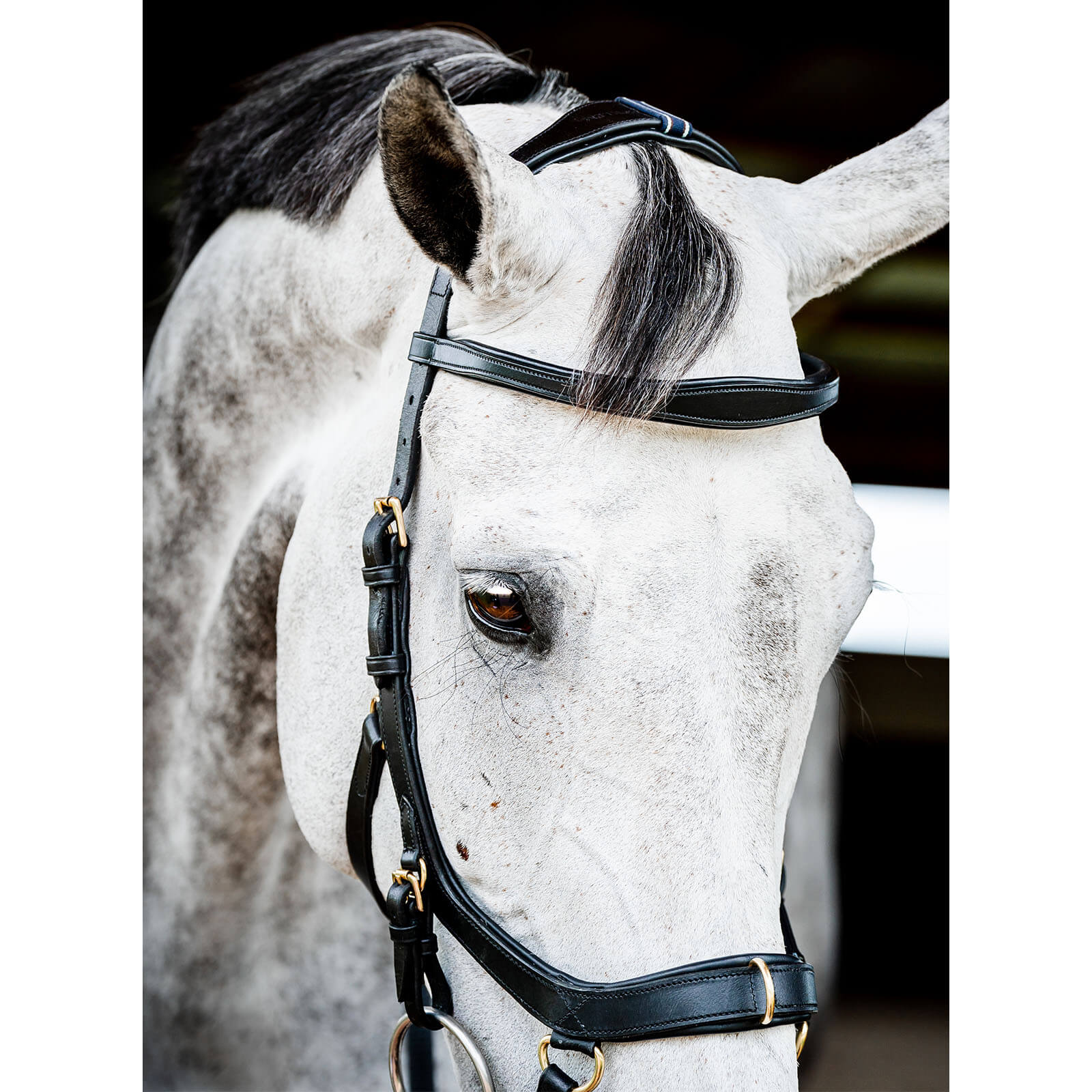 Trense Micklem 2 Multi Bridle Micklemtrense