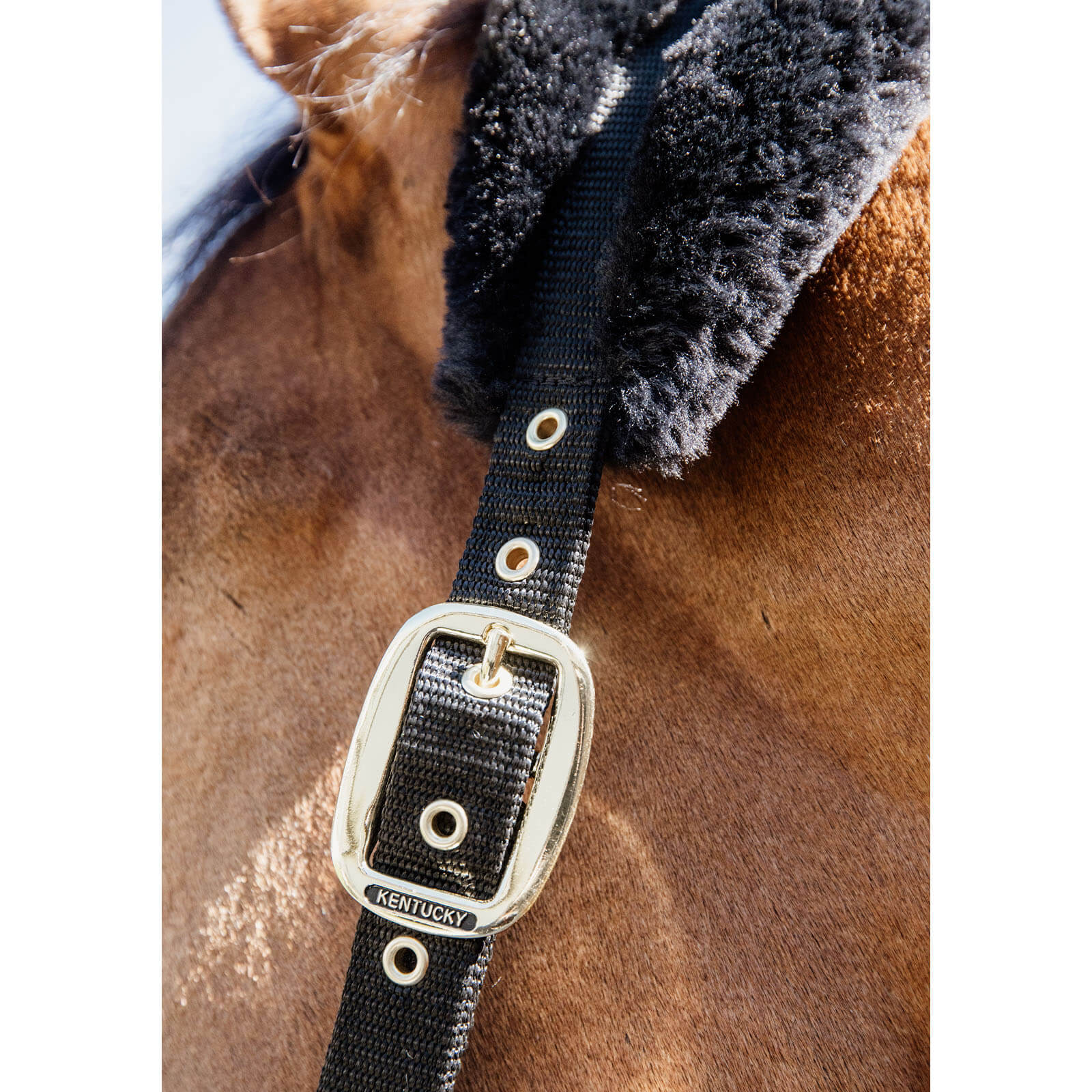 Nylonhalfter mit Lammfell Soft Stallhalfter