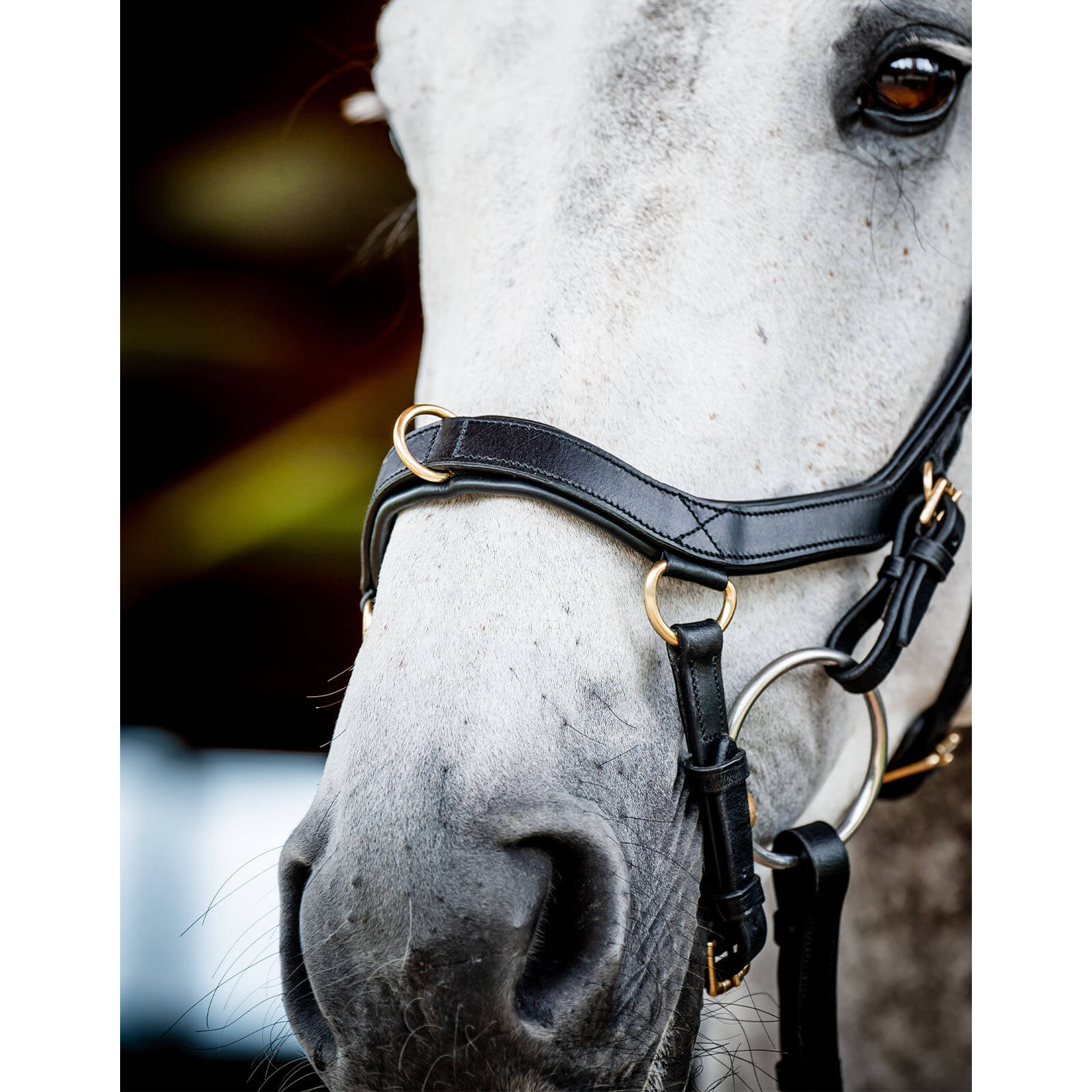 Trense Micklem 2 Multi Bridle Micklemtrense