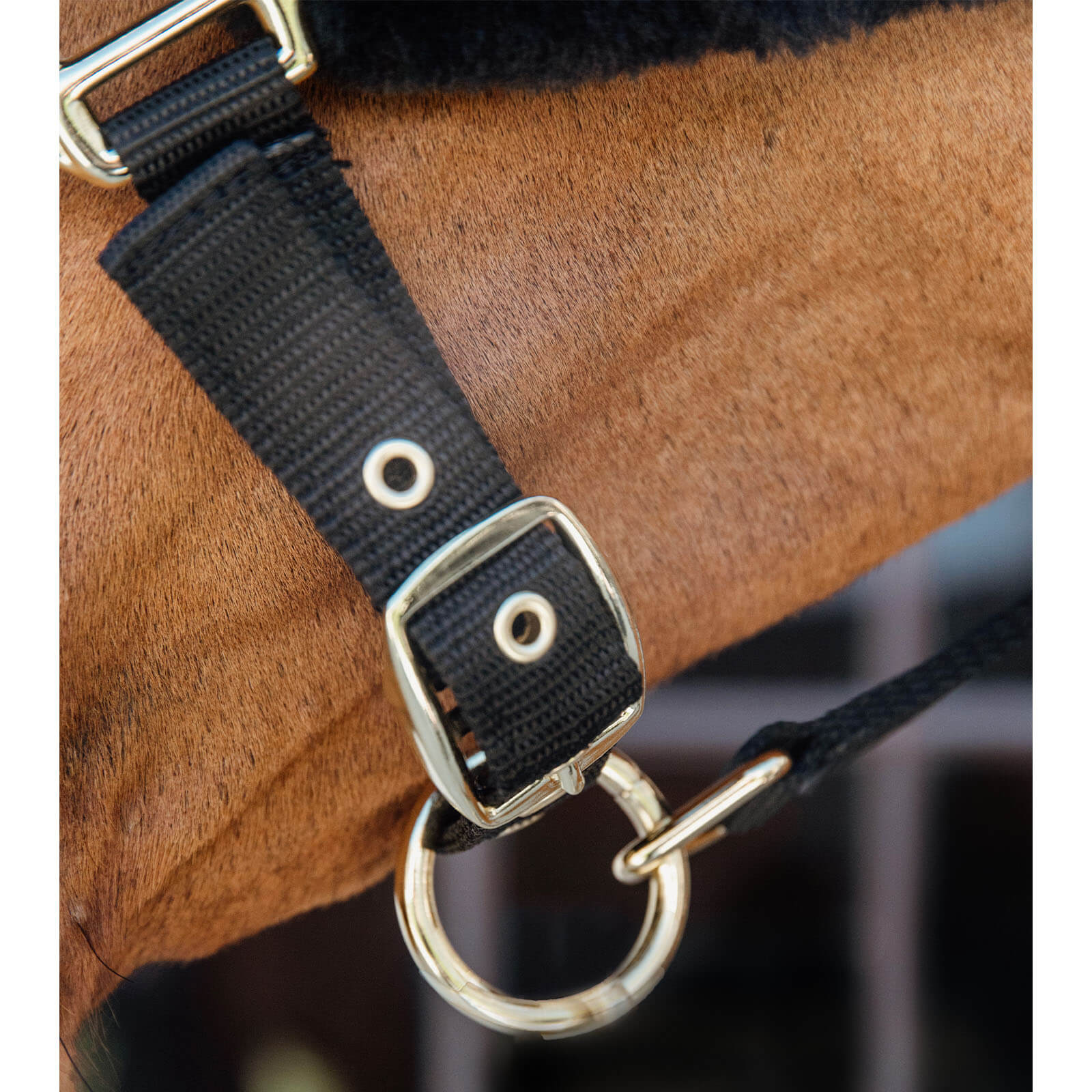 Nylonhalfter mit Lammfell Soft Stallhalfter