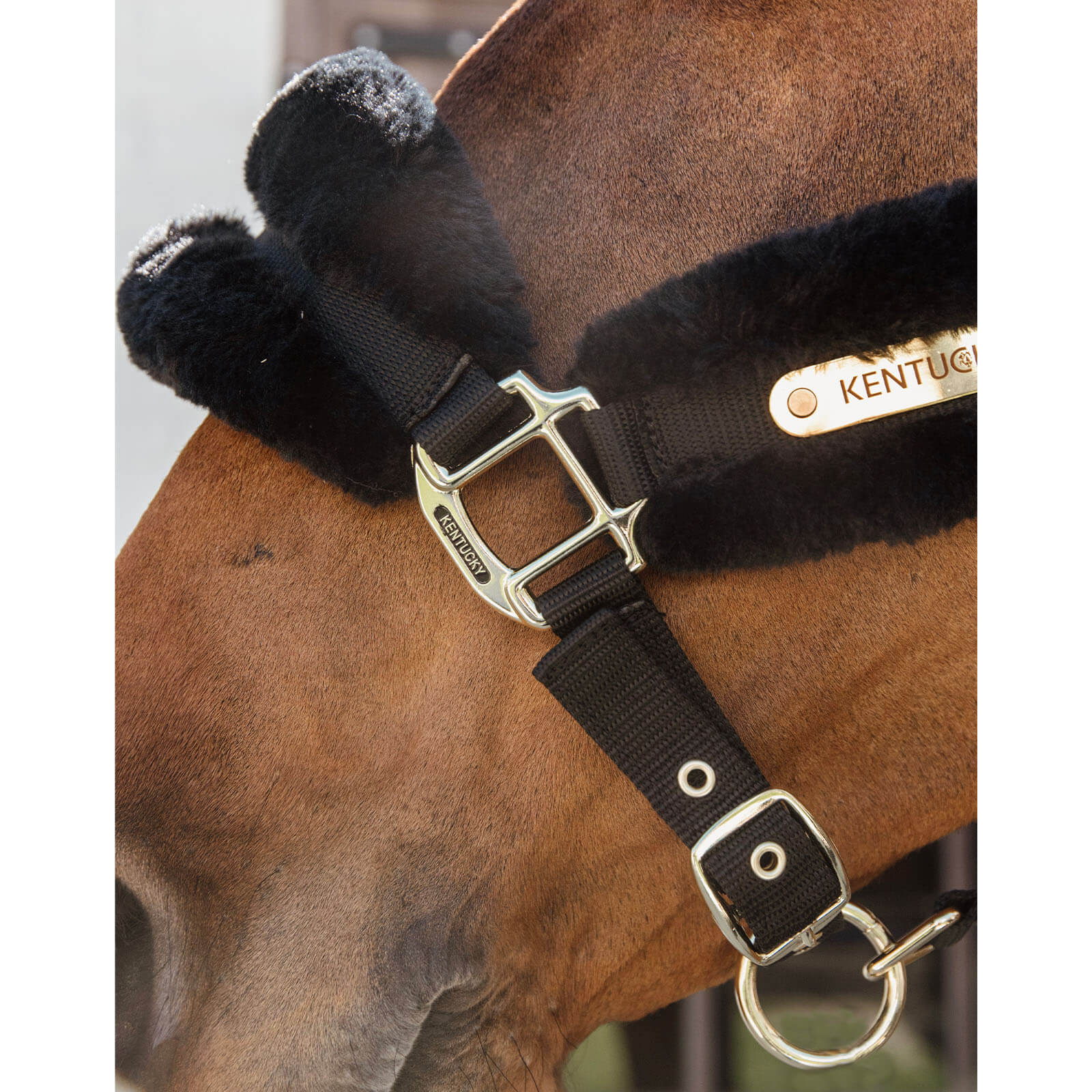 Nylonhalfter mit Lammfell Soft Stallhalfter