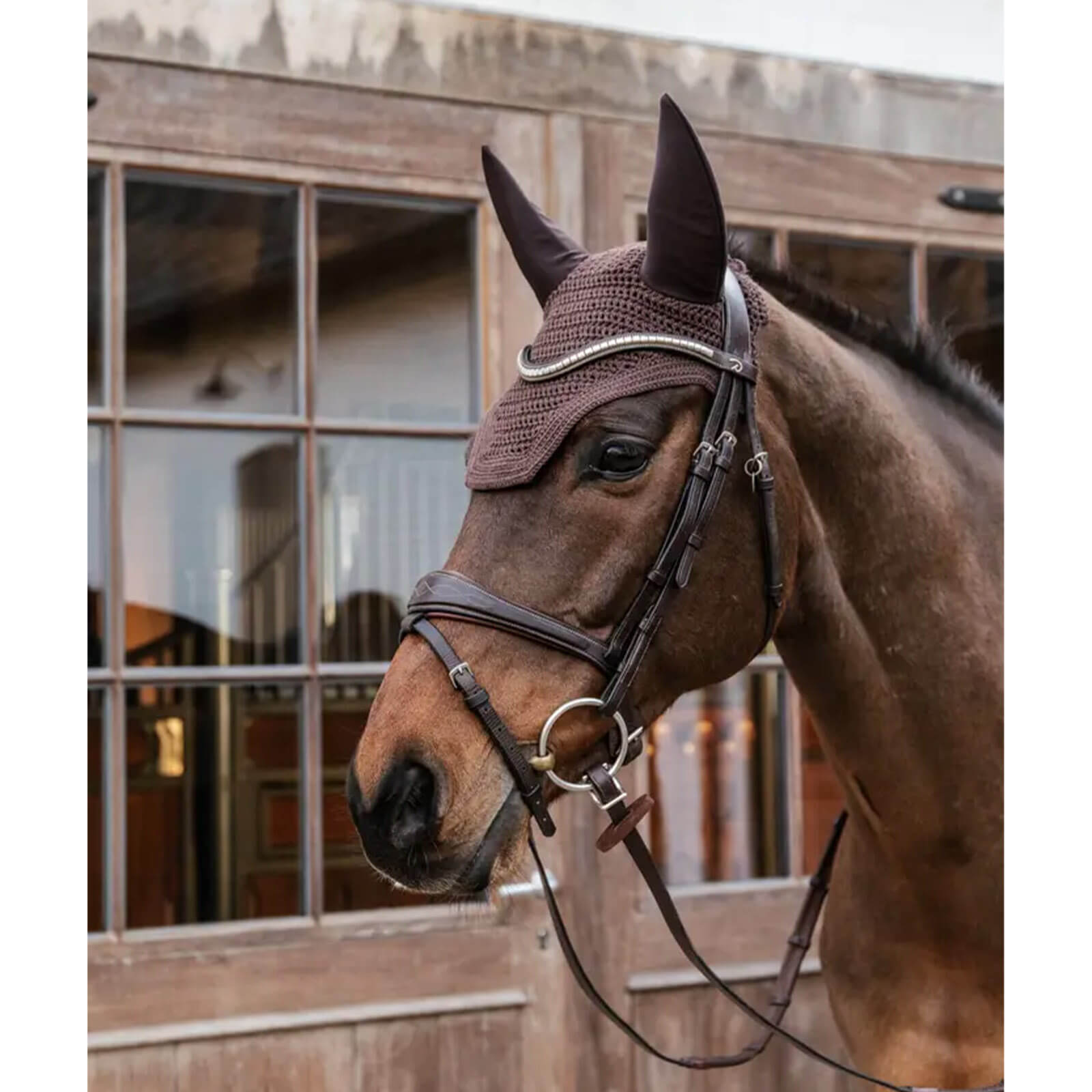 Fliegenmütze Fly veil Wellington Fliegenhaube Fliegenohren