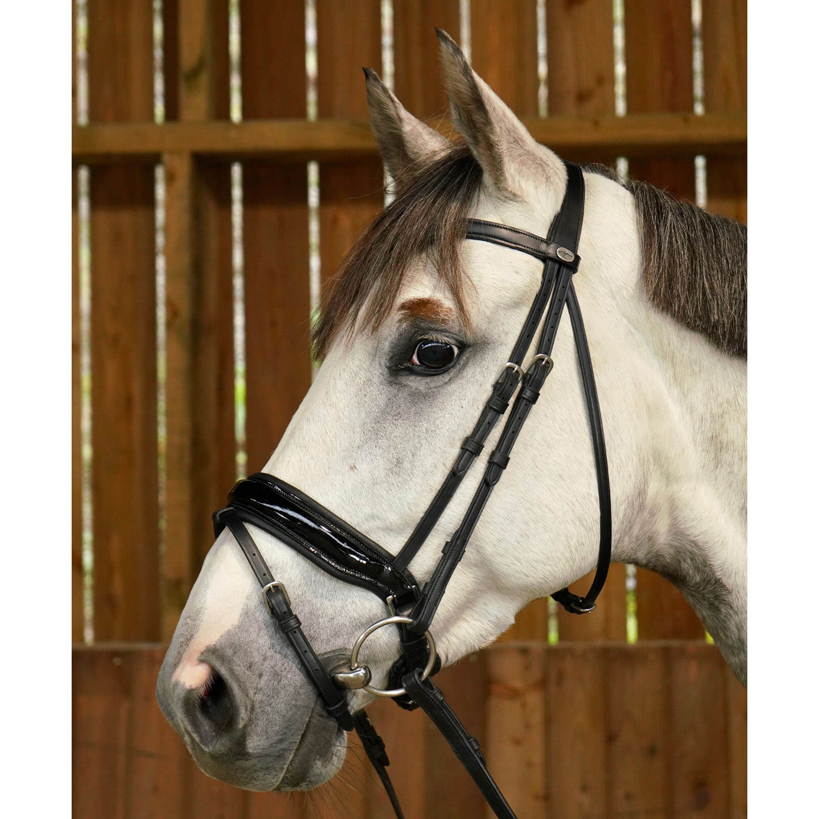 Trense mit breitem schwedisch-kombiniertem Lackreithalfter Working Collection Trensenzaum