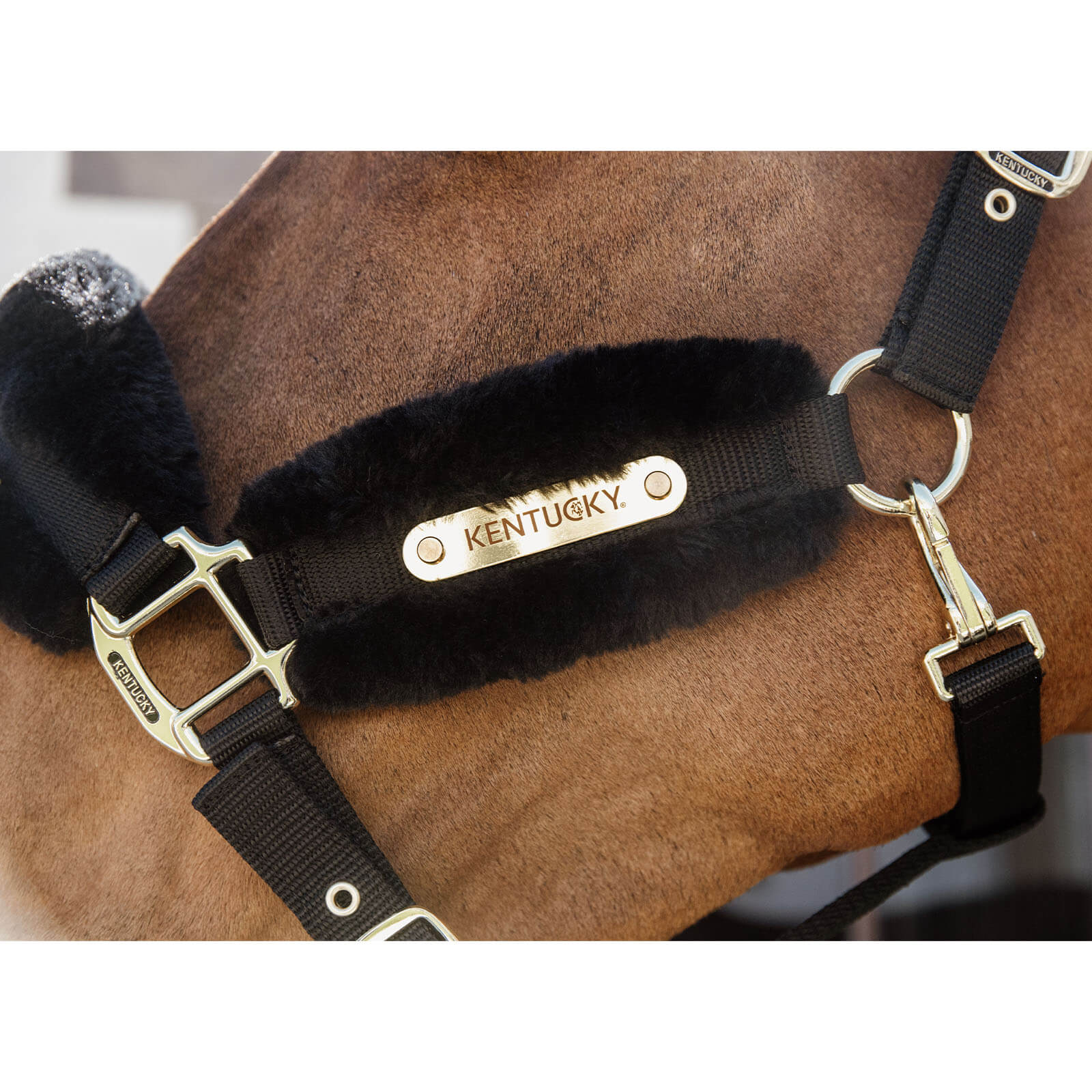Nylonhalfter mit Lammfell Soft Stallhalfter