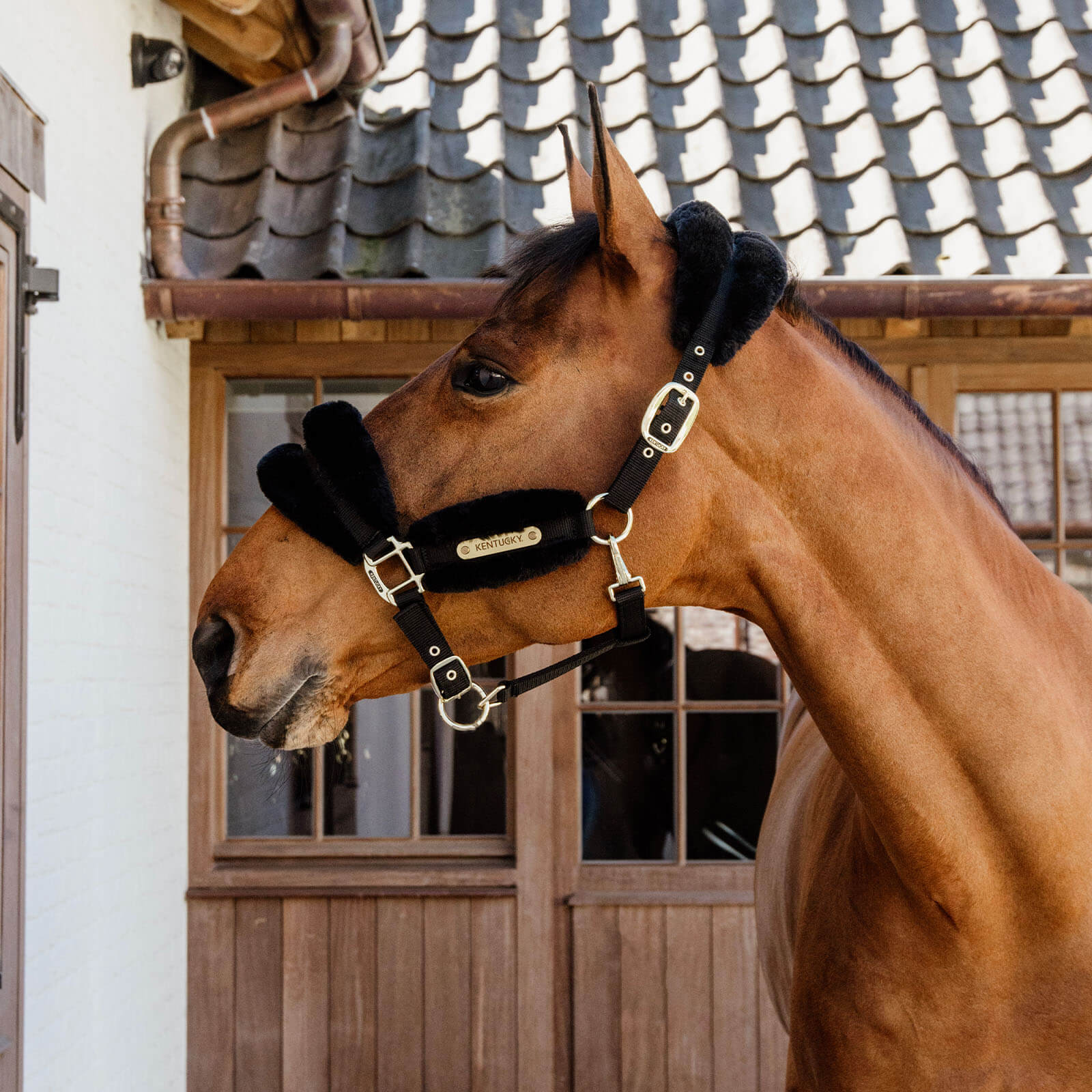 Nylonhalfter mit Lammfell Soft Stallhalfter