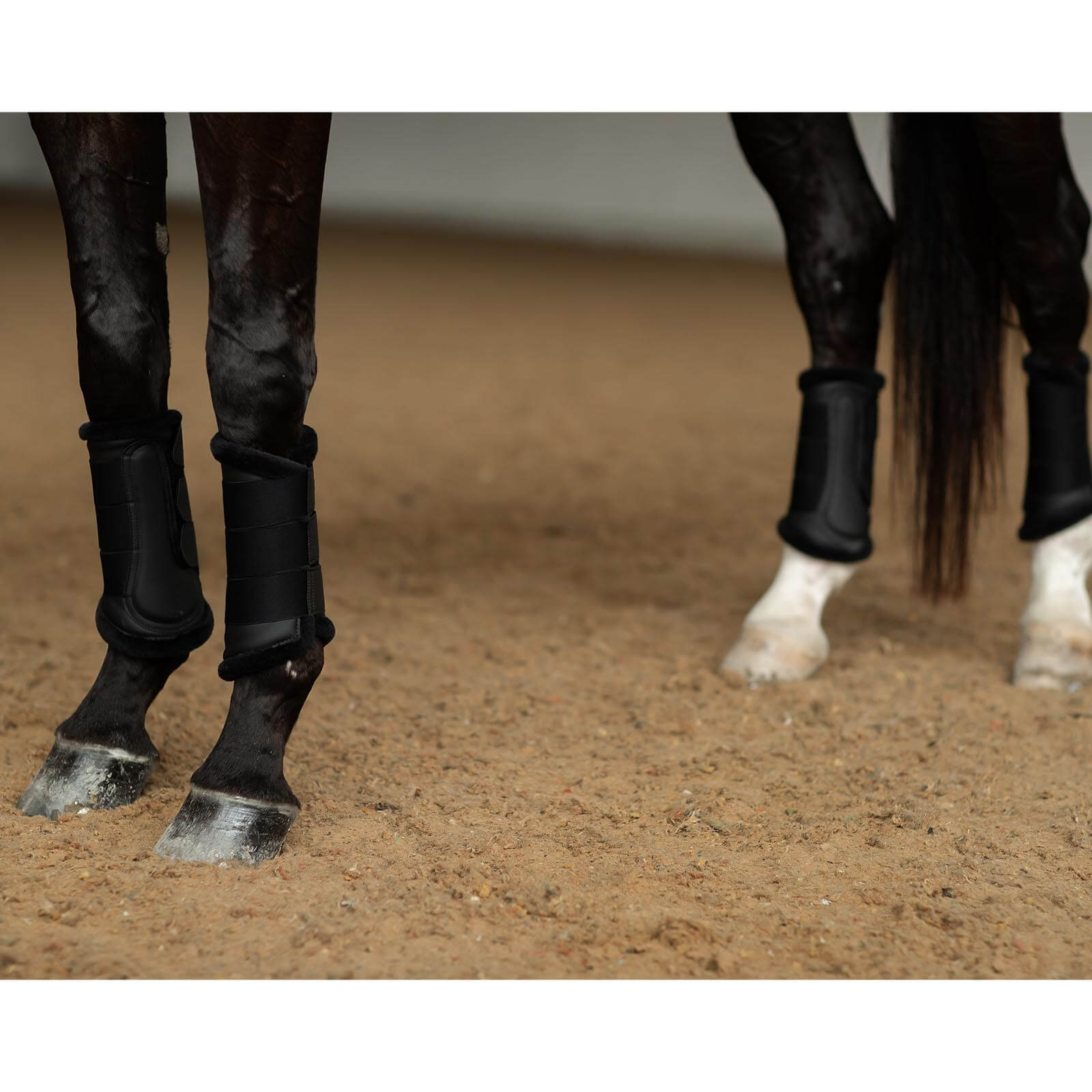 Gamaschen Black Brushing Boots