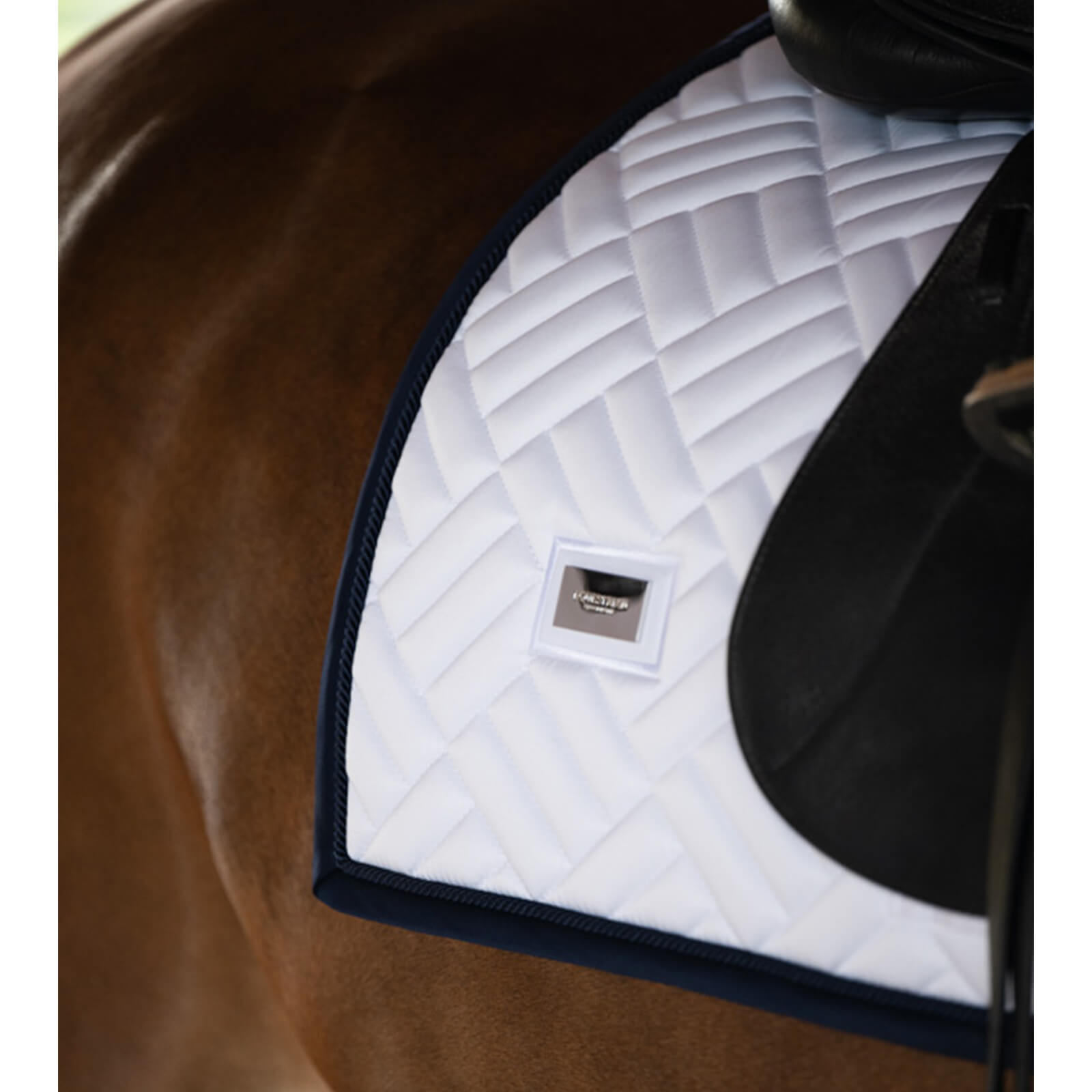 Schabracke Dressur Modern White Navy Dressurschabracke