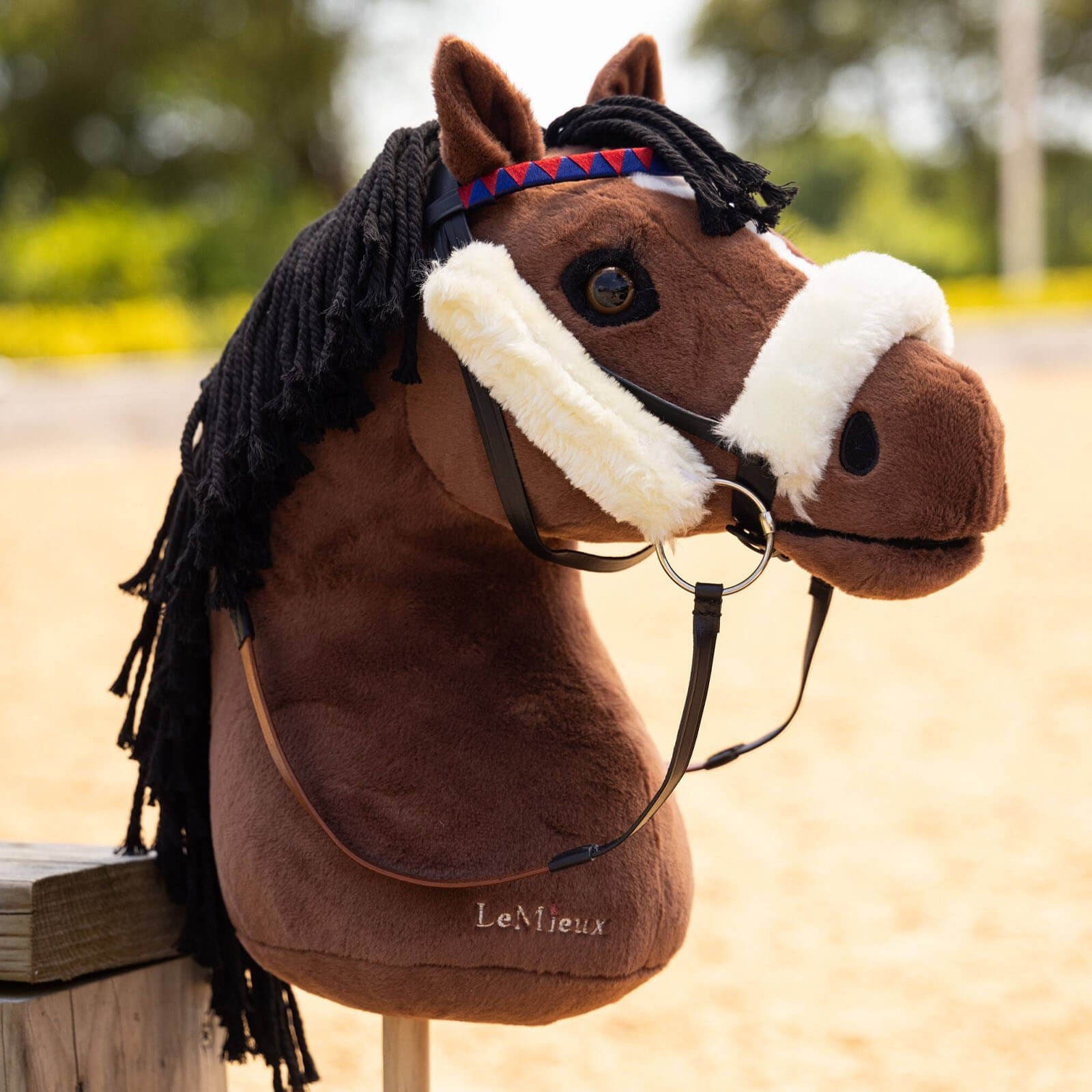 Hobby Horse Steckenpferd