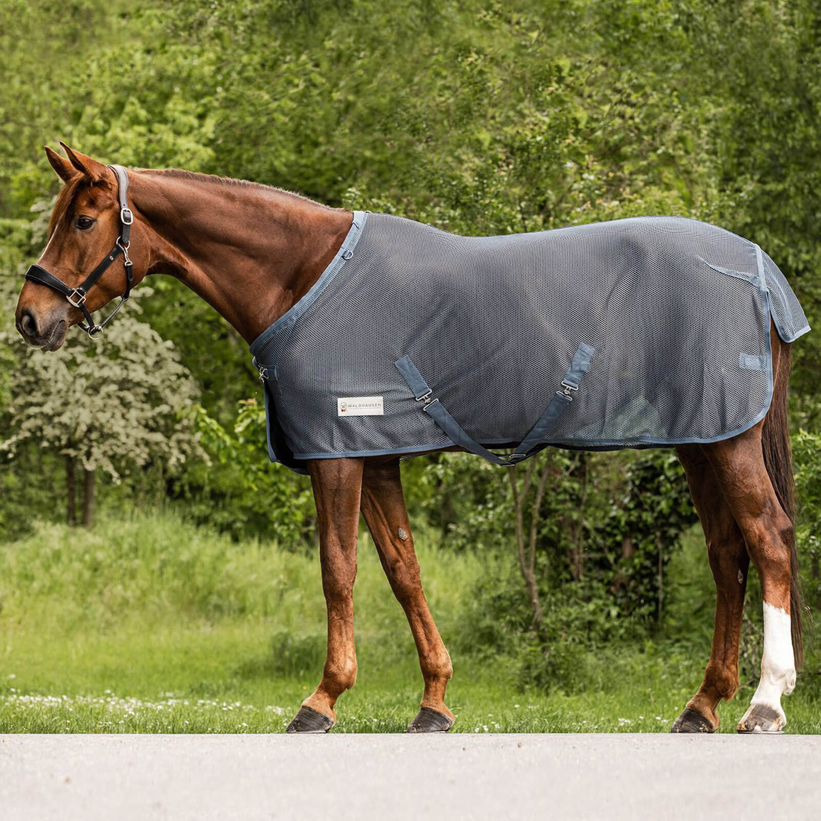 Fliegendecke COMFORT mit Kreuzgurten