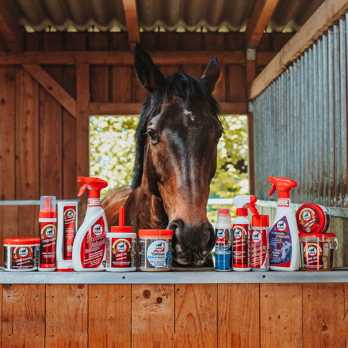 leovet Pflegemittel 5-Sterne Striegel Fell- und Langhaarspray, 2,5 l, Pferd neben dem Produkt im Stall.