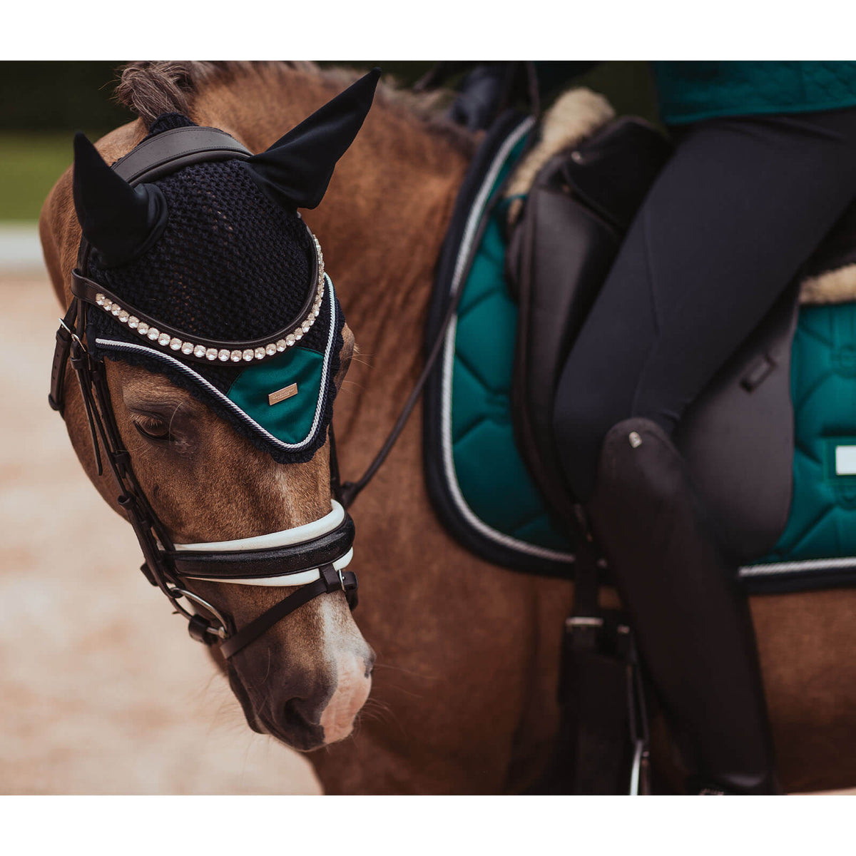 Equestrian Stockholm Fliegenmütze Emerald, Emerald, am Pferd getragen.