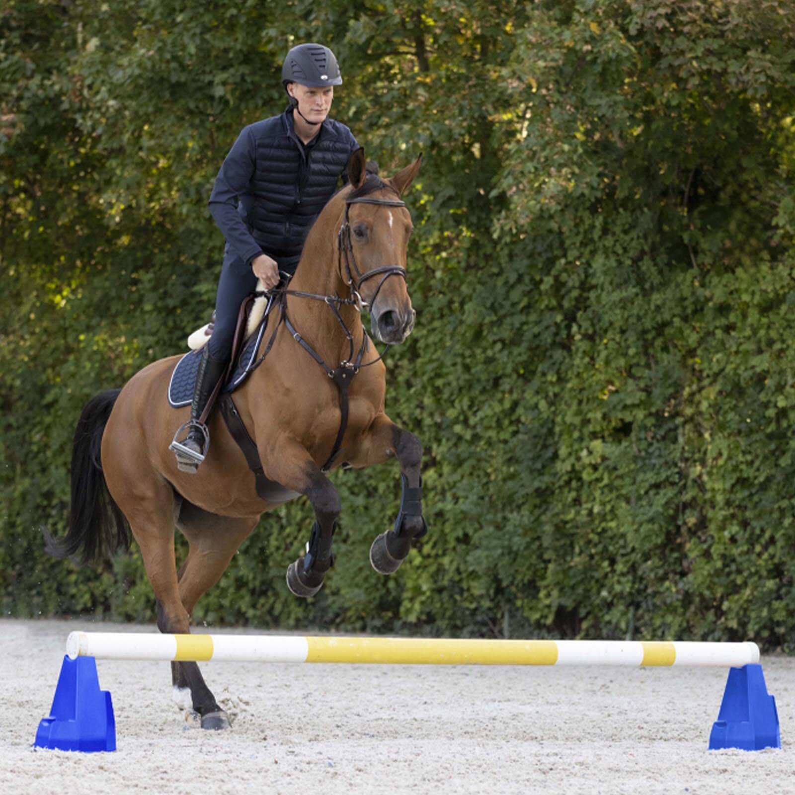 Cavaletti- Block Stangenblock